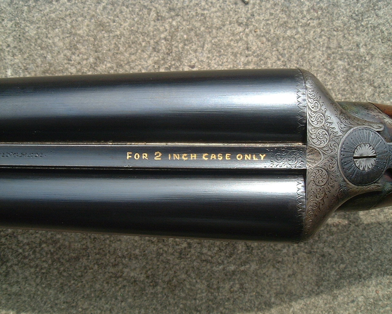 Picture File. 6537.jpg