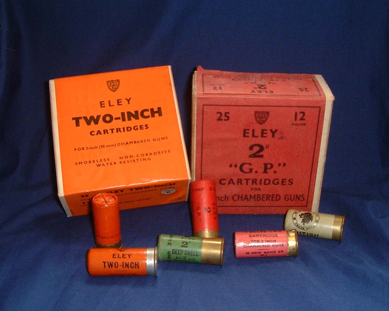 Picture File. 212.jpg