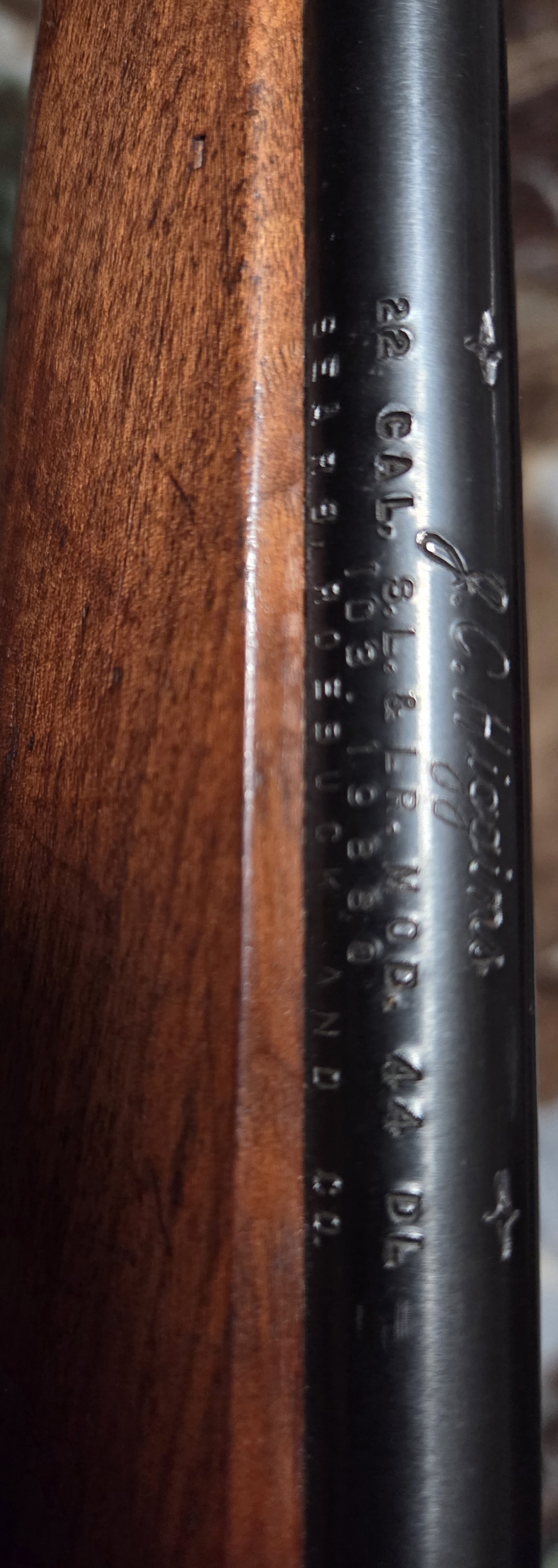20260221_171138.jpg