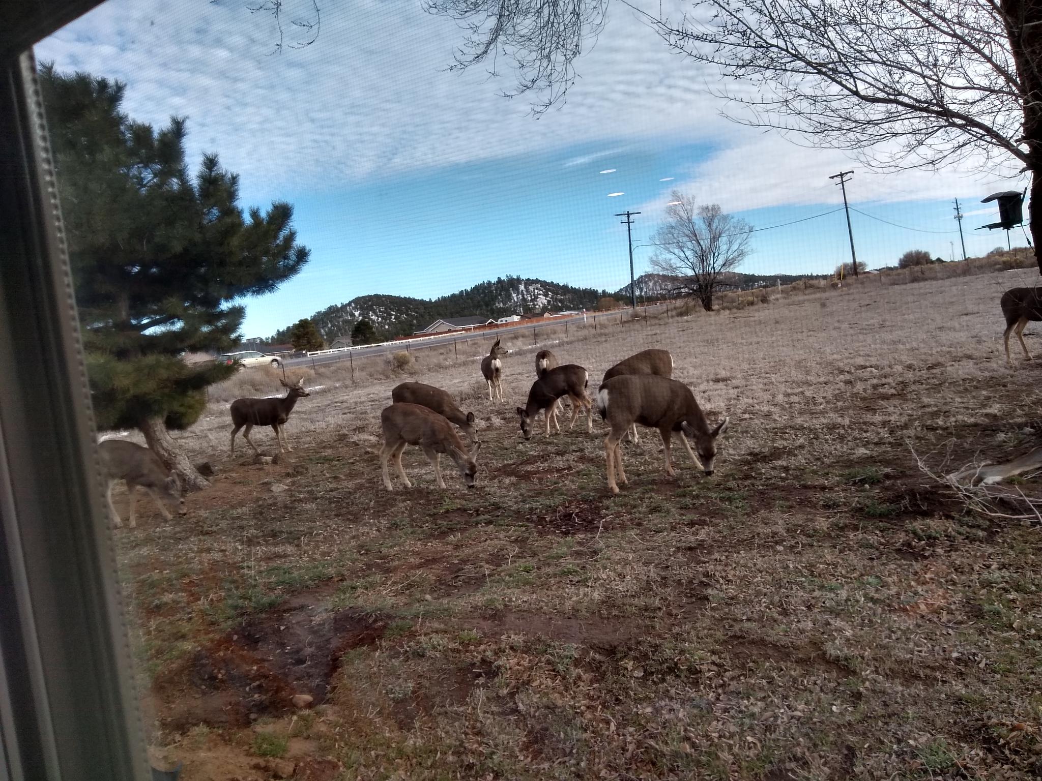 IMG_20260222_165058369_HDR.jpg