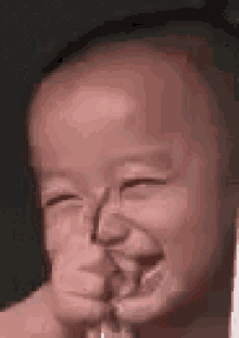 IMG_9692.gif