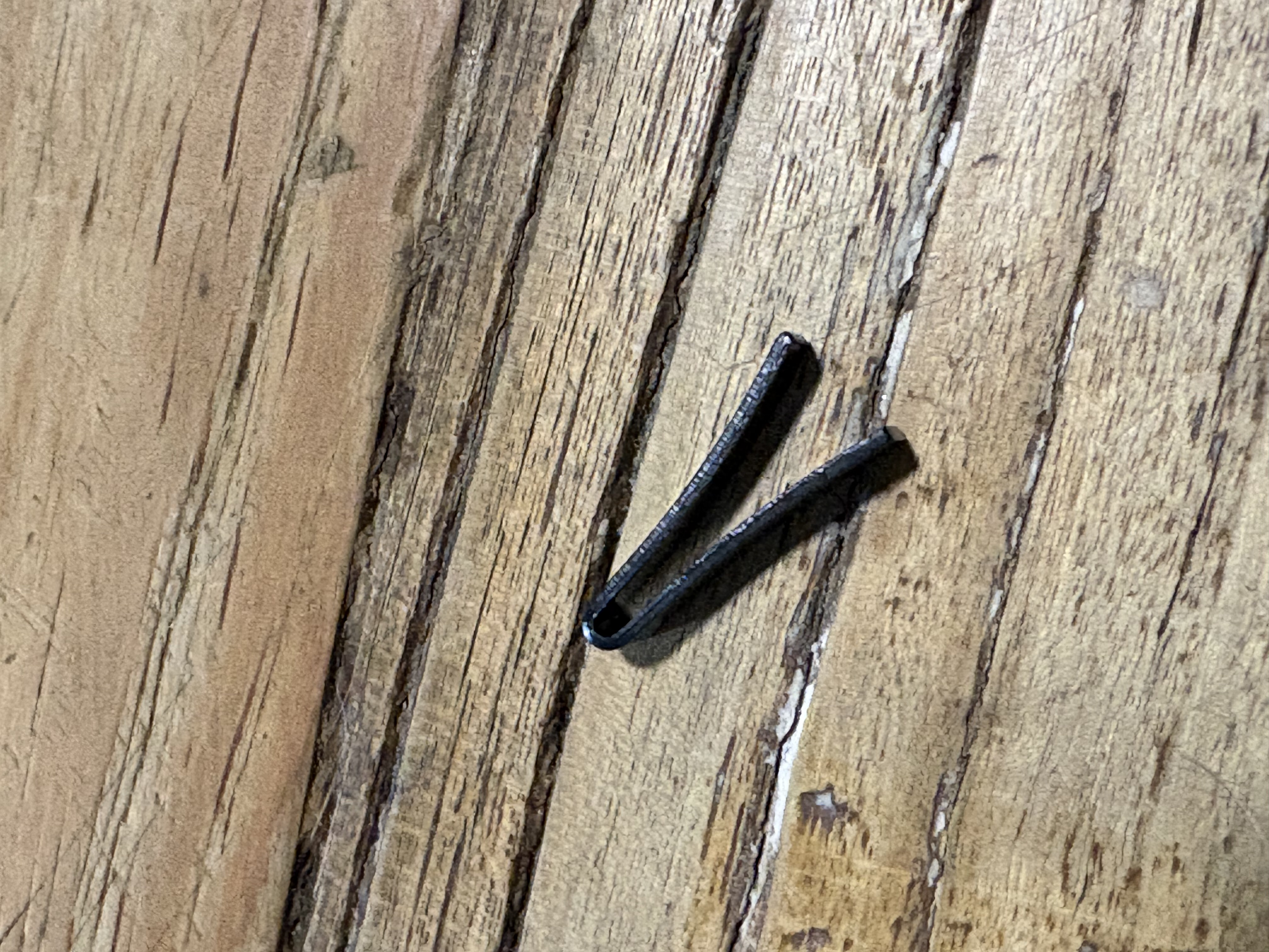 IMG_0799.jpeg
