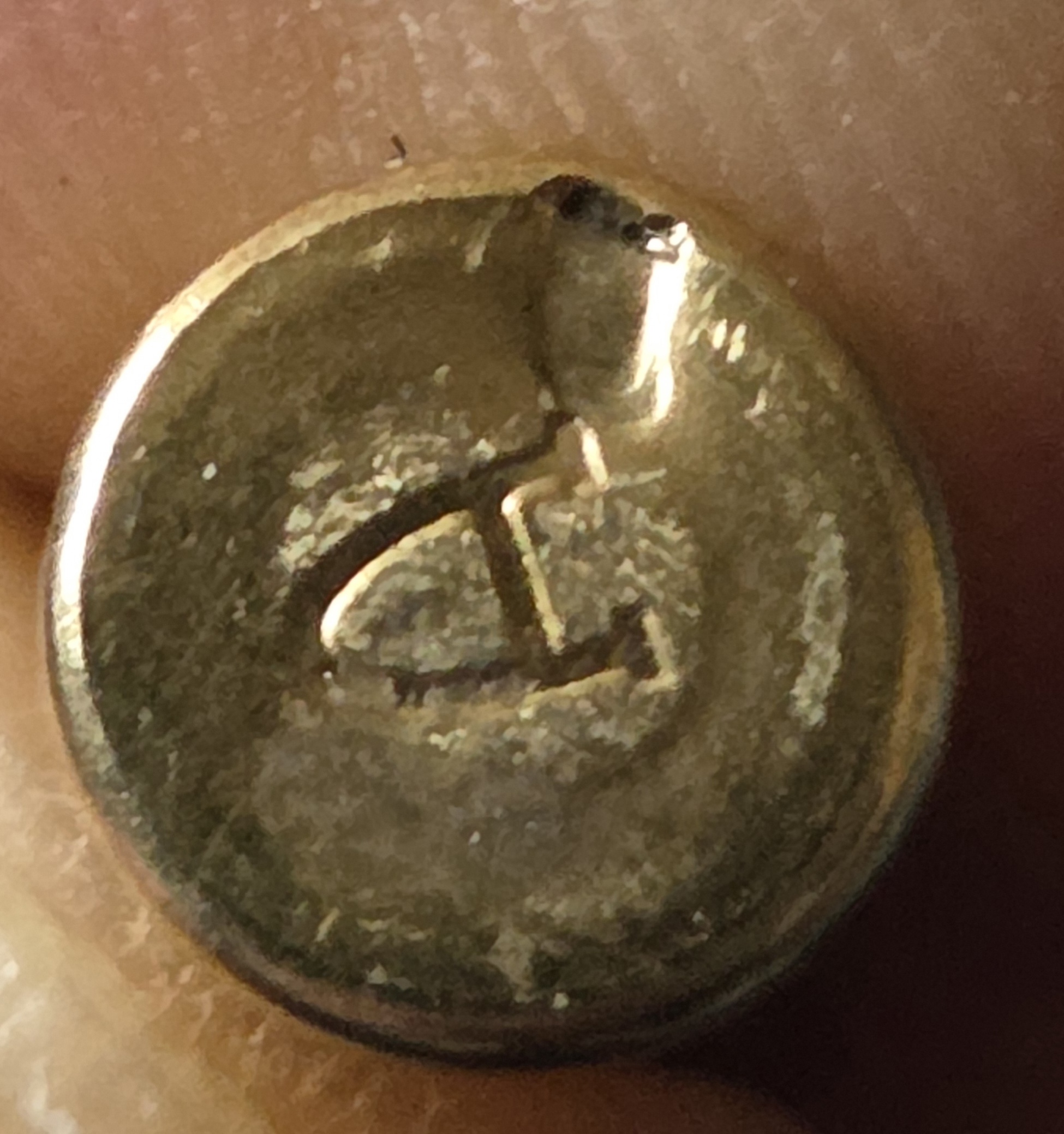 20260314_121339.jpg