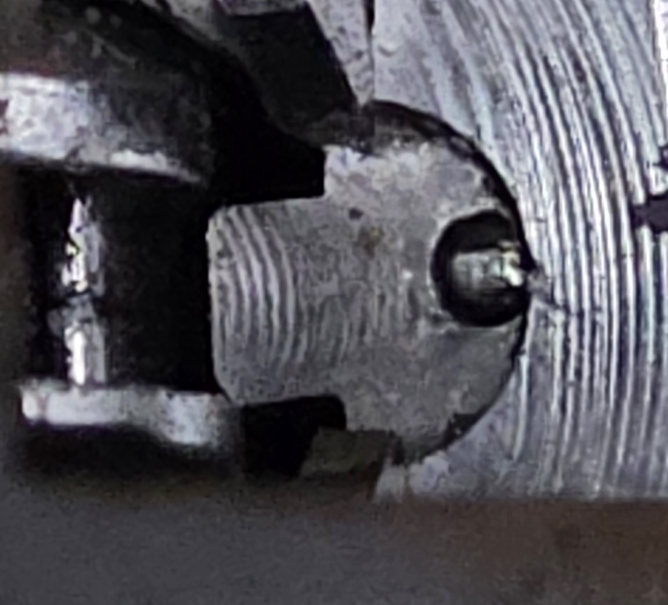 20260314_170258.jpg