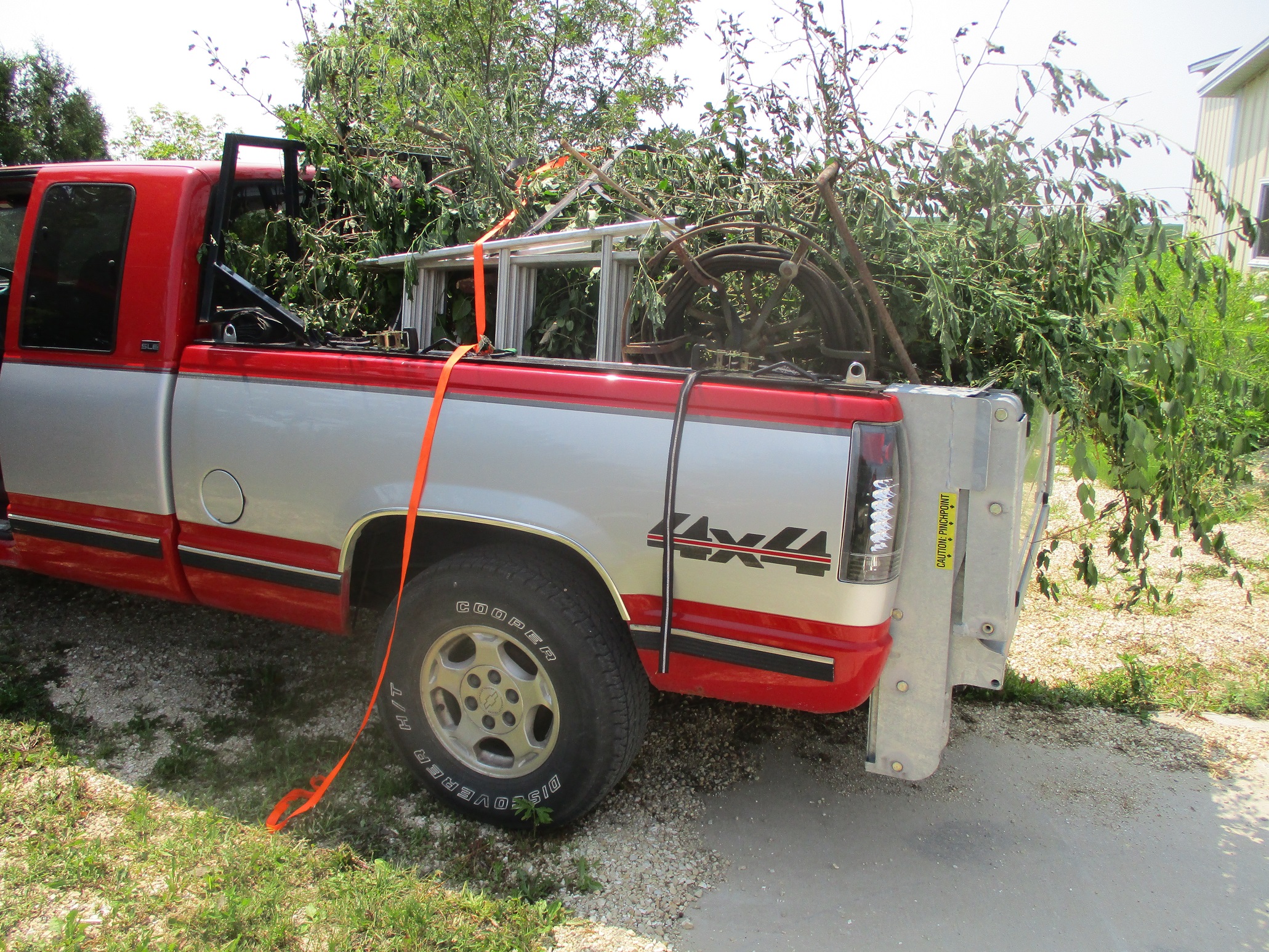 second load of brush.JPG