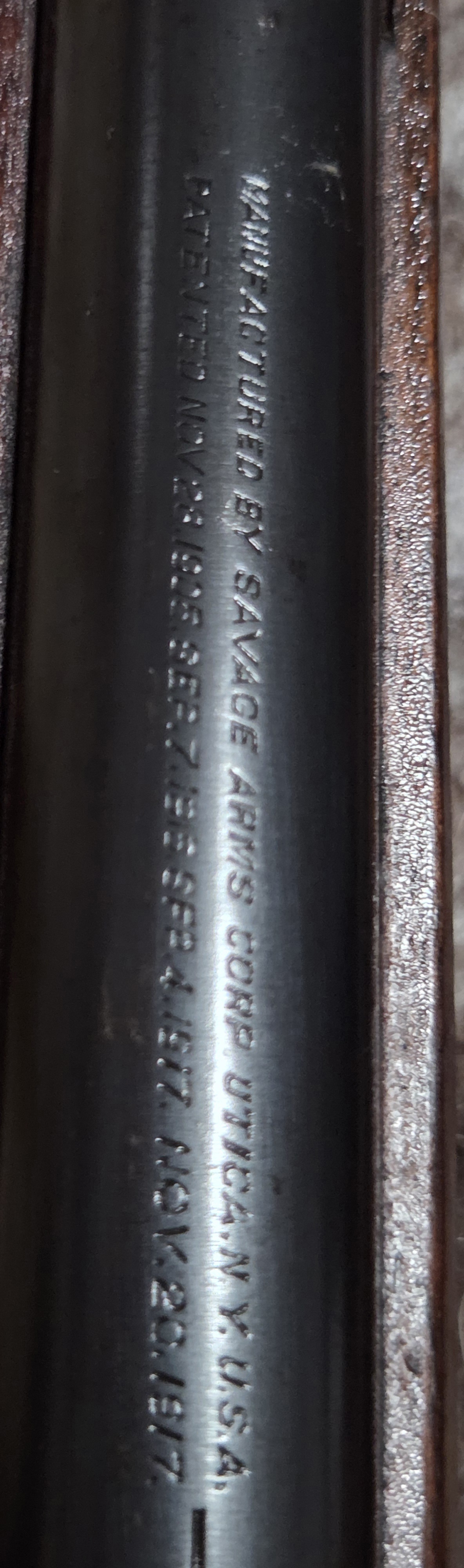 20260401_113749.jpg
