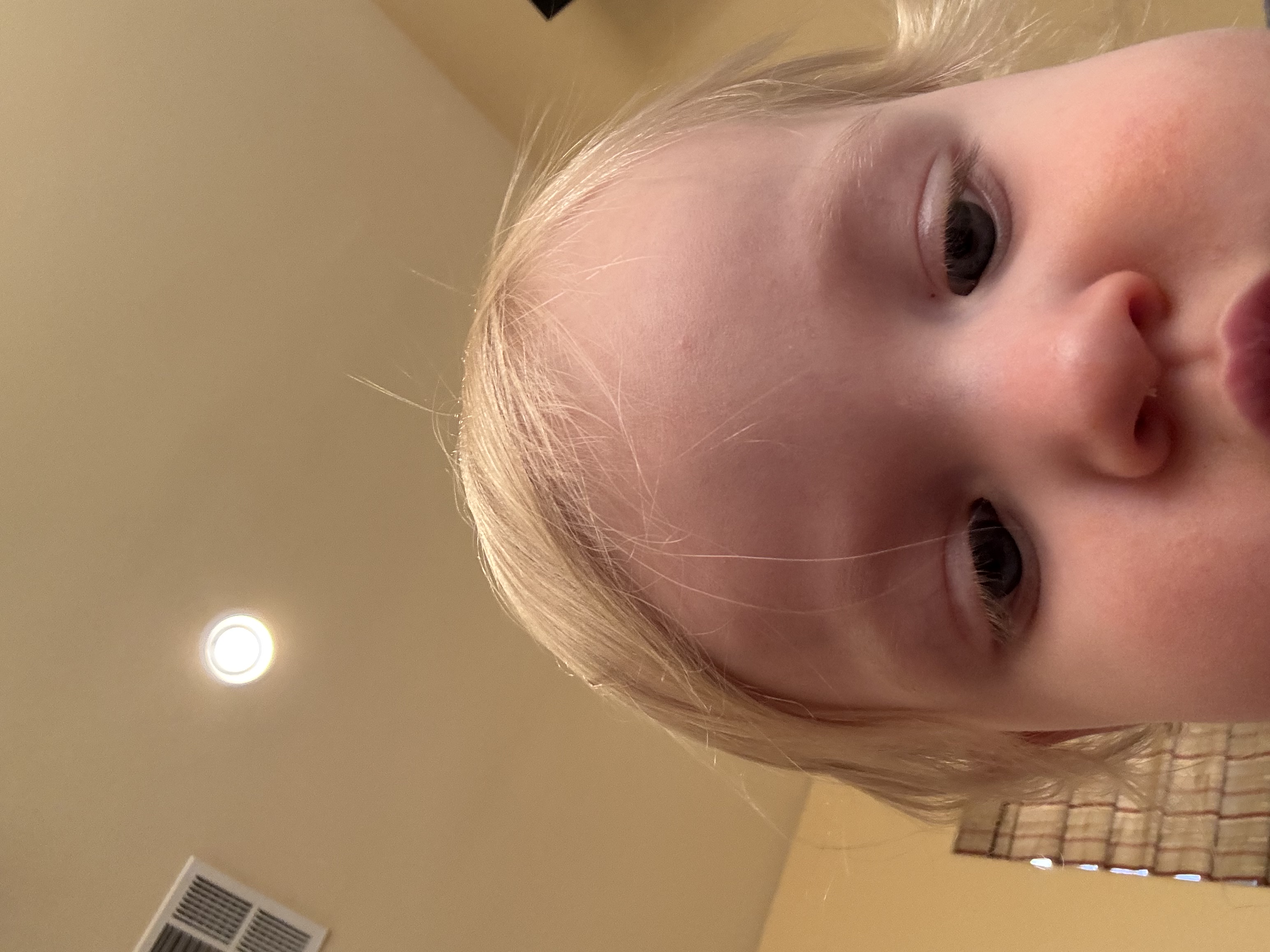 IMG_4730.jpeg