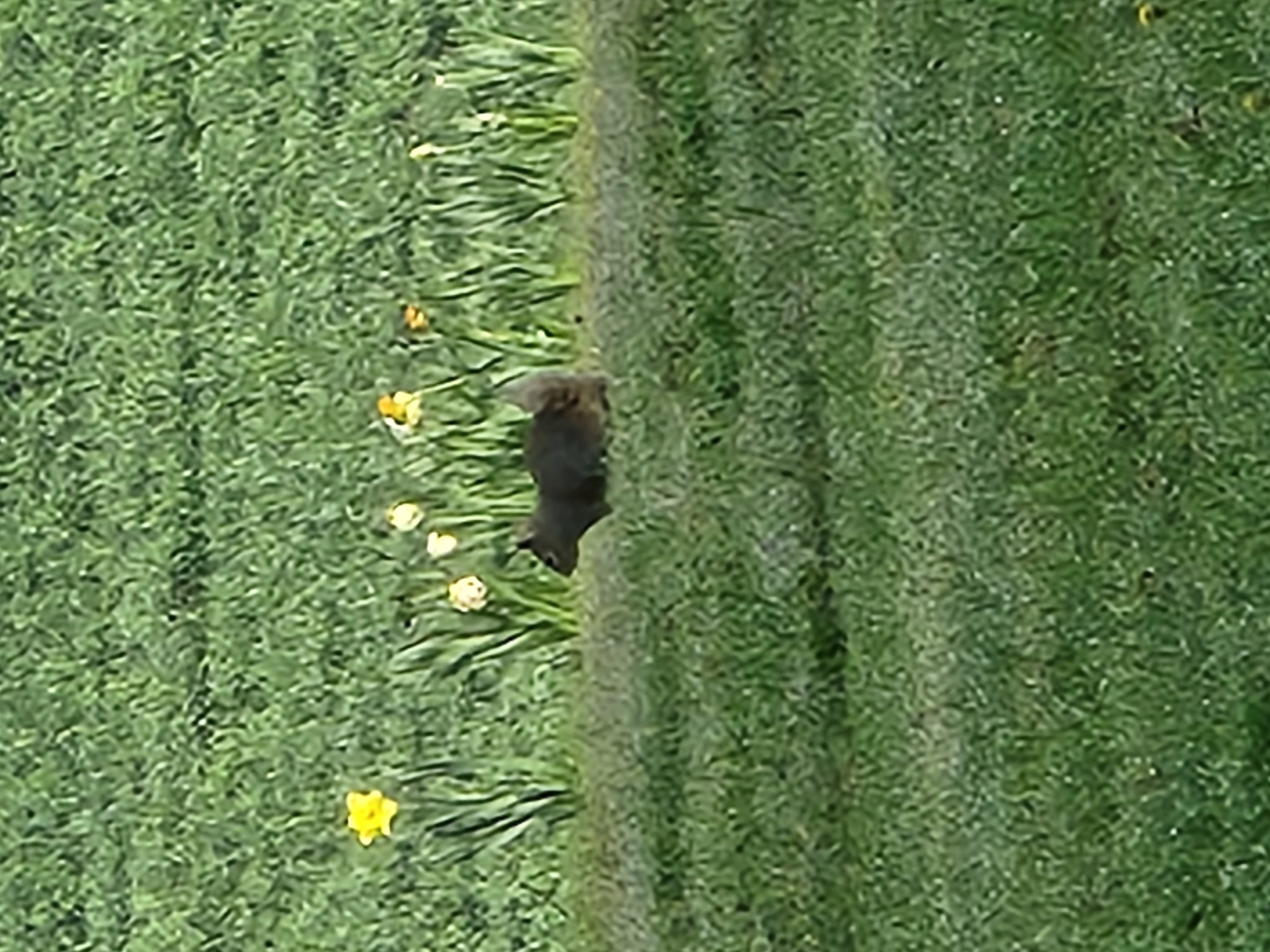 20260412_082319.jpg