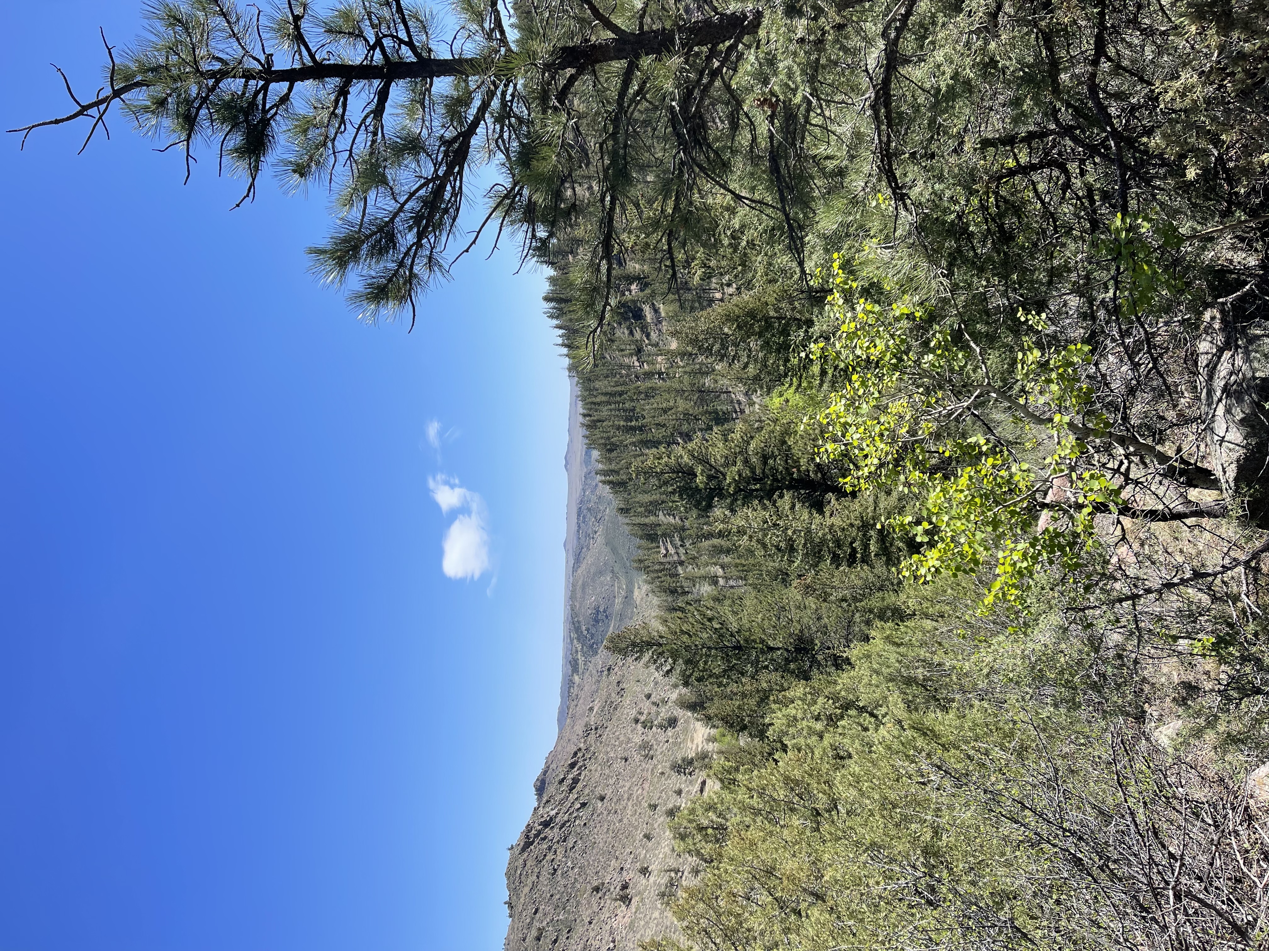 IMG_2504.jpeg