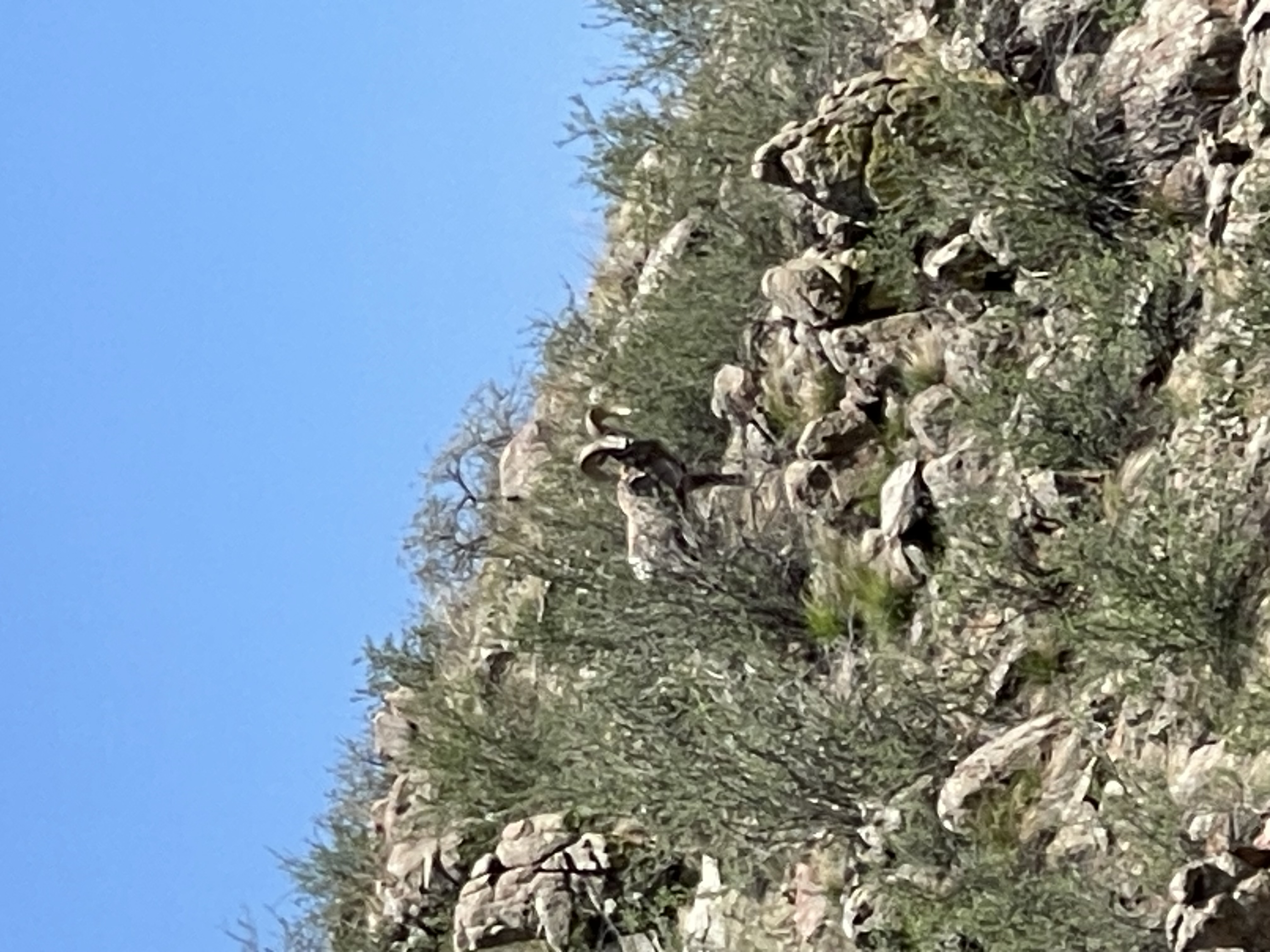 IMG_2538.jpeg