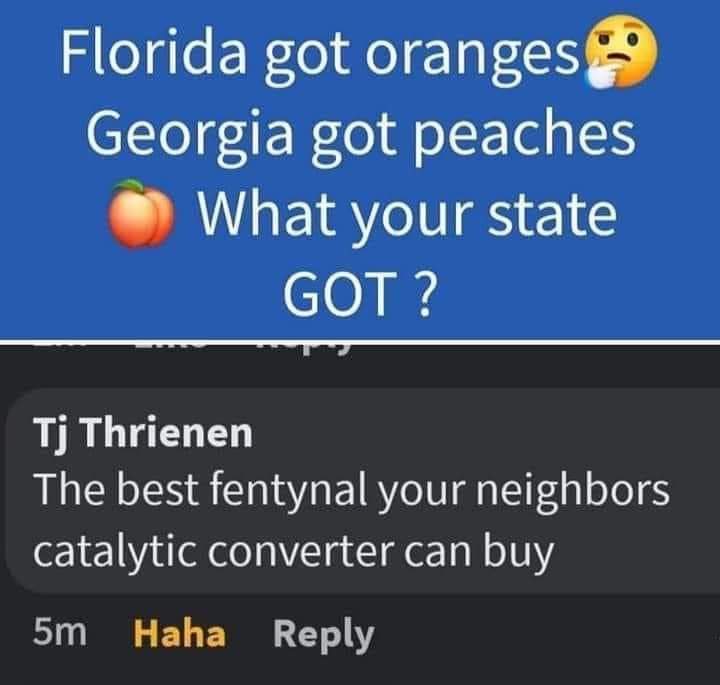 FB_IMG_1689518321871.jpg