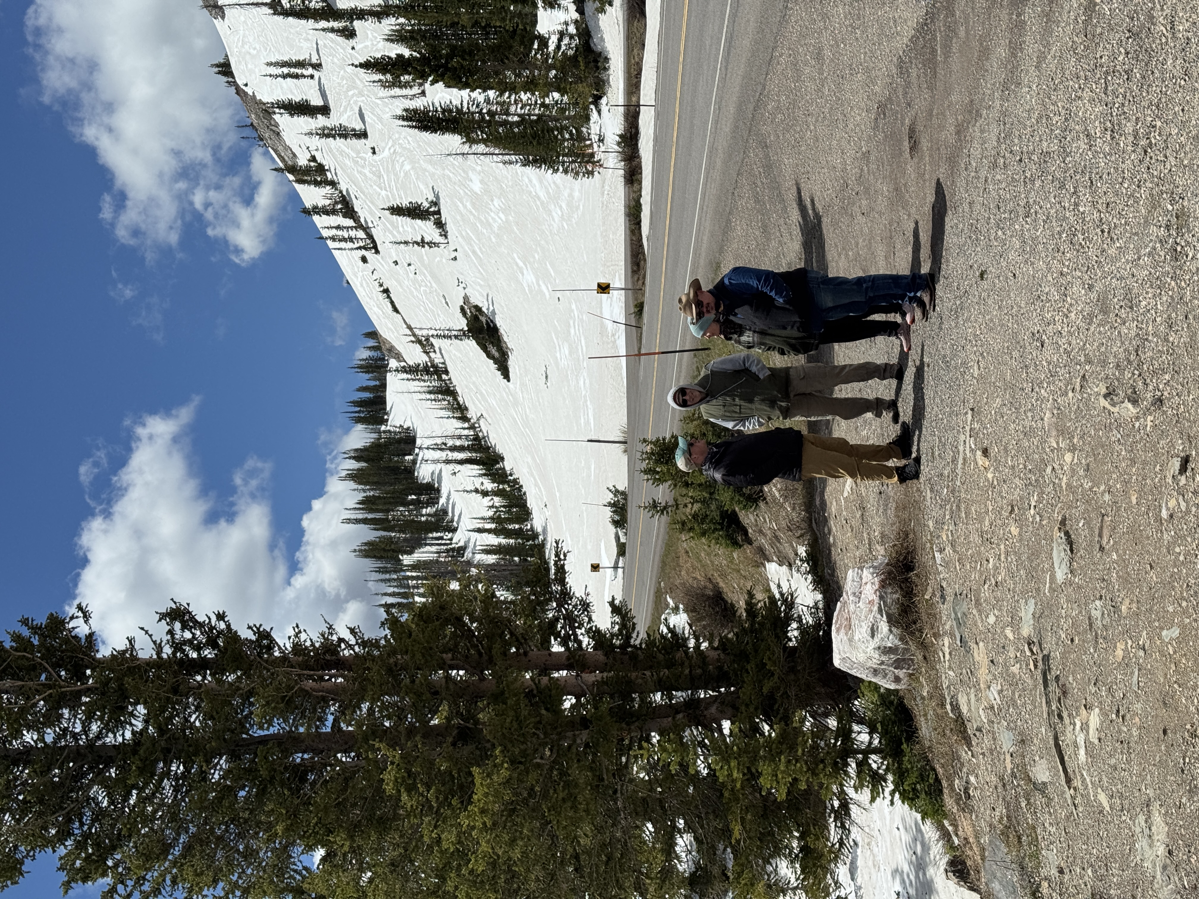 IMG_8214.jpeg