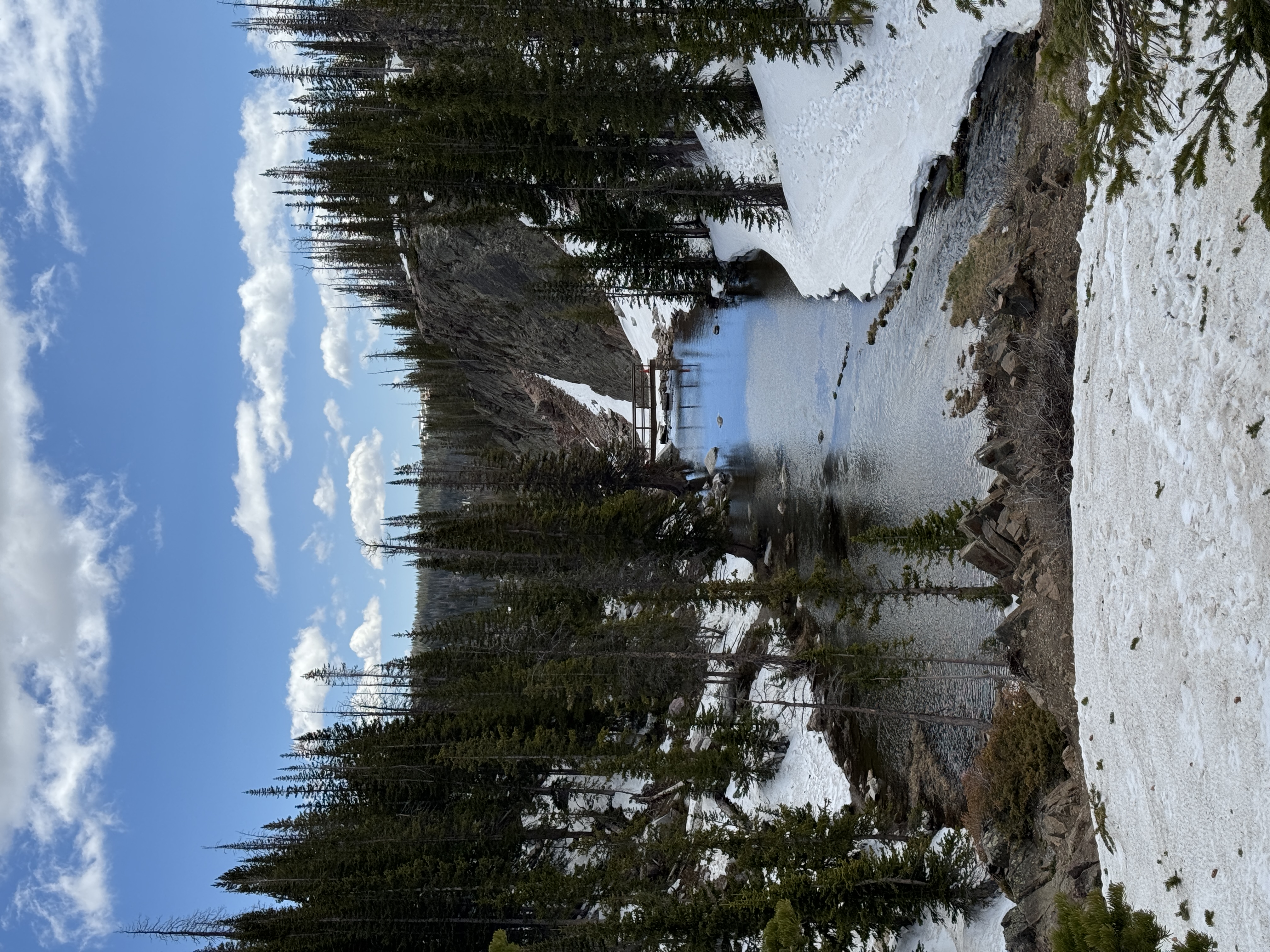 IMG_8208.jpeg