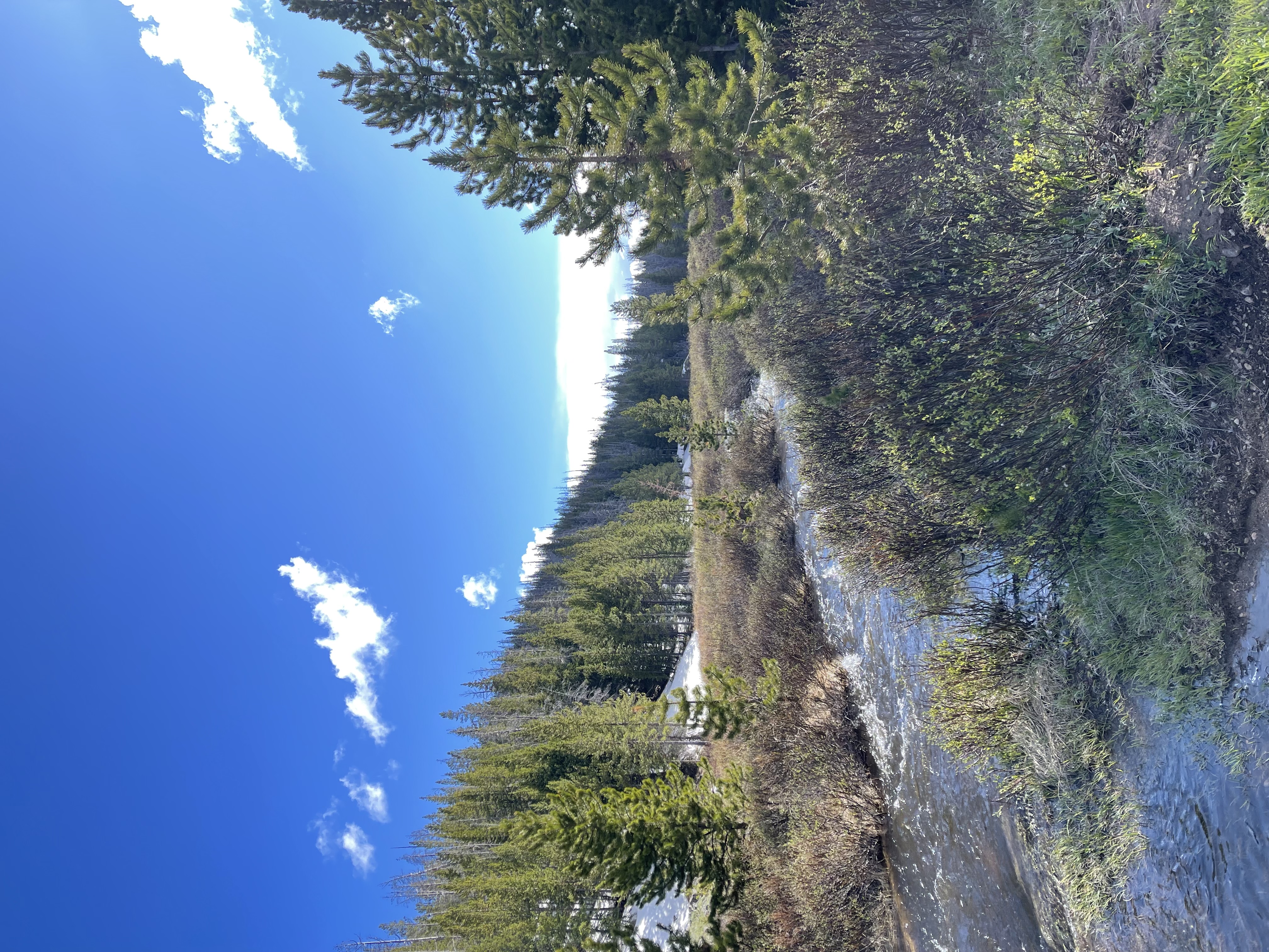 IMG_2698.jpeg