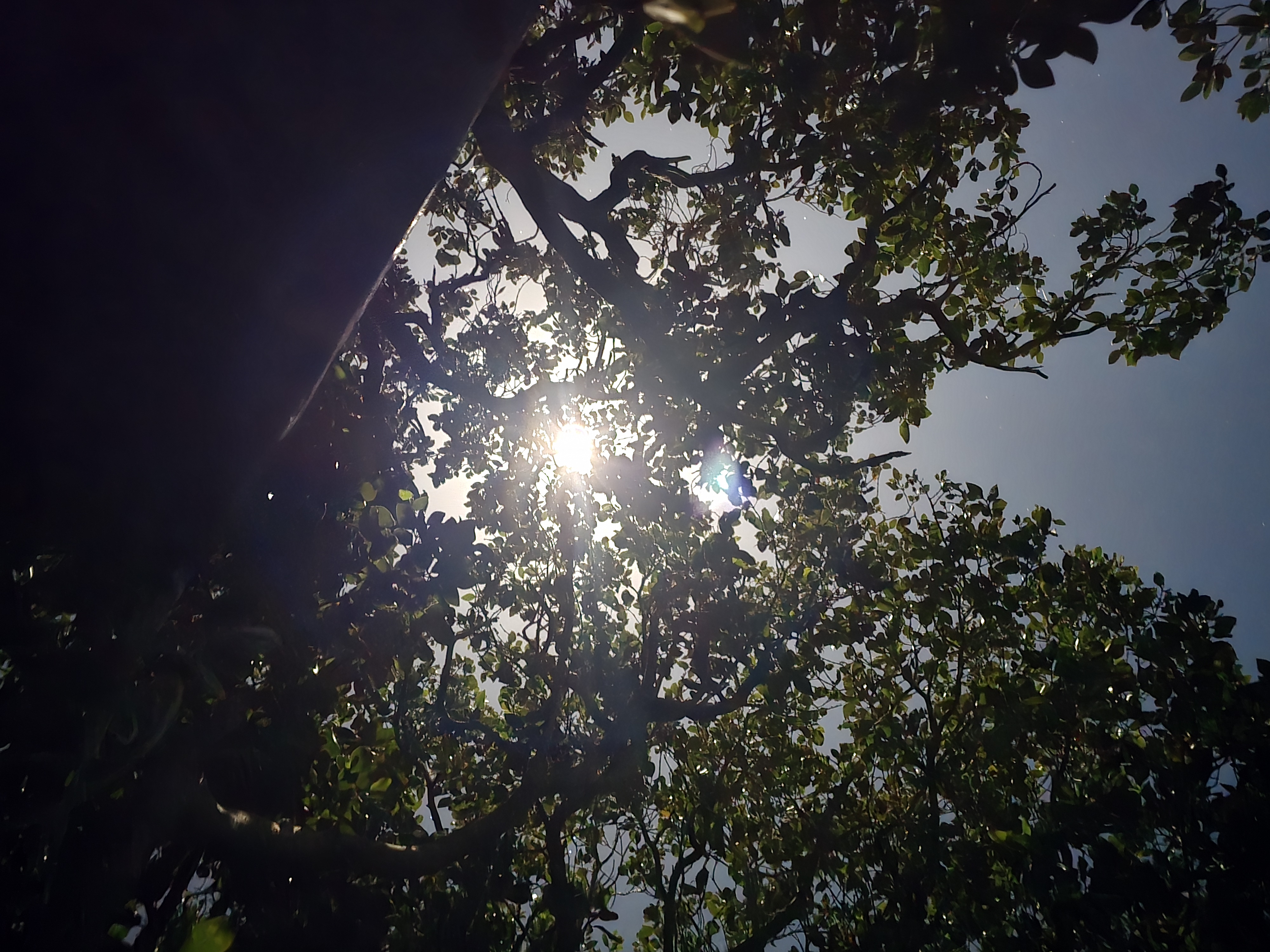 20260502_002235.jpg