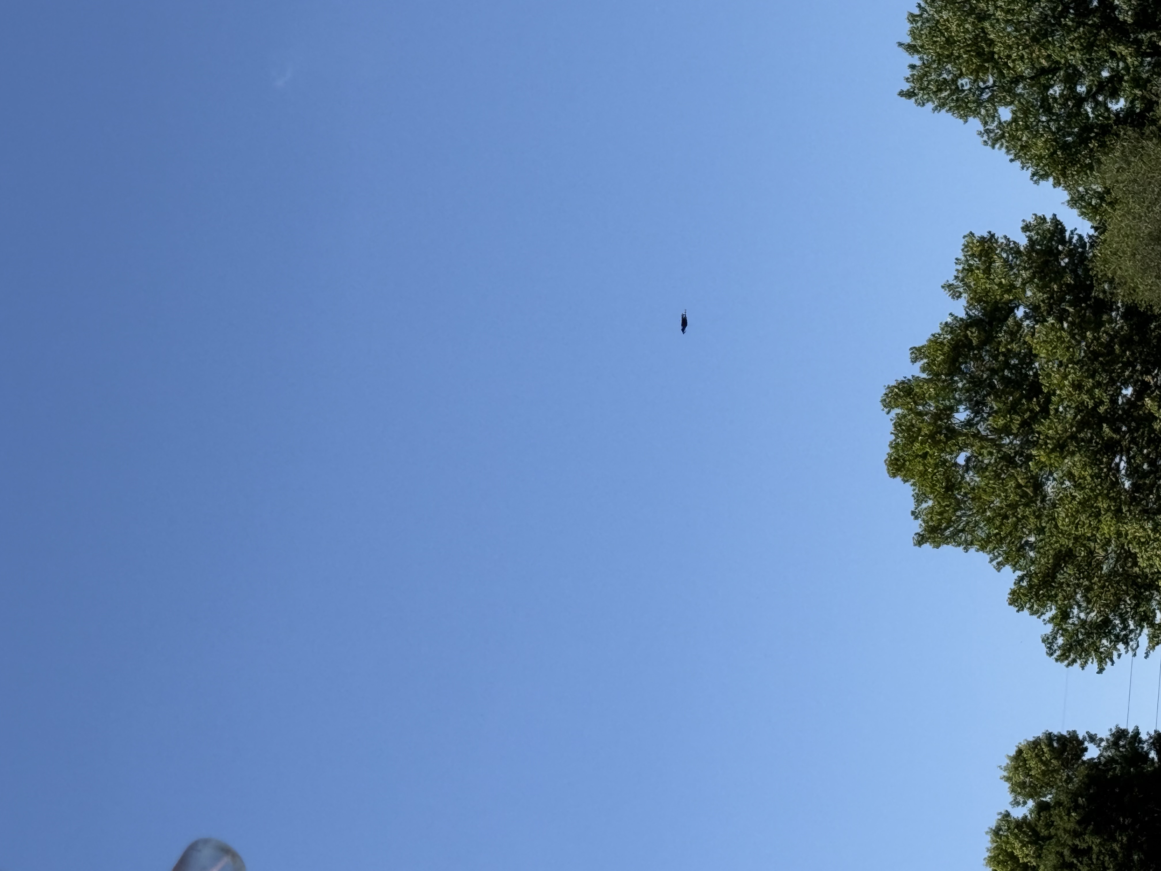 IMG_0631.jpeg
