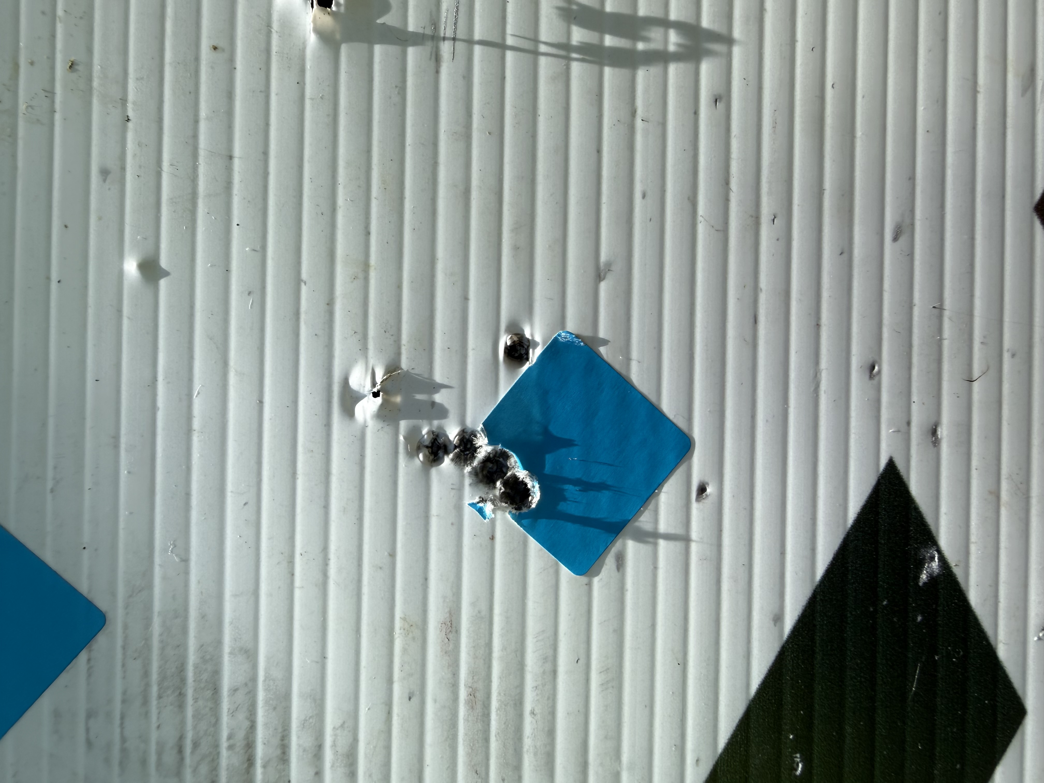 IMG_1118.jpeg