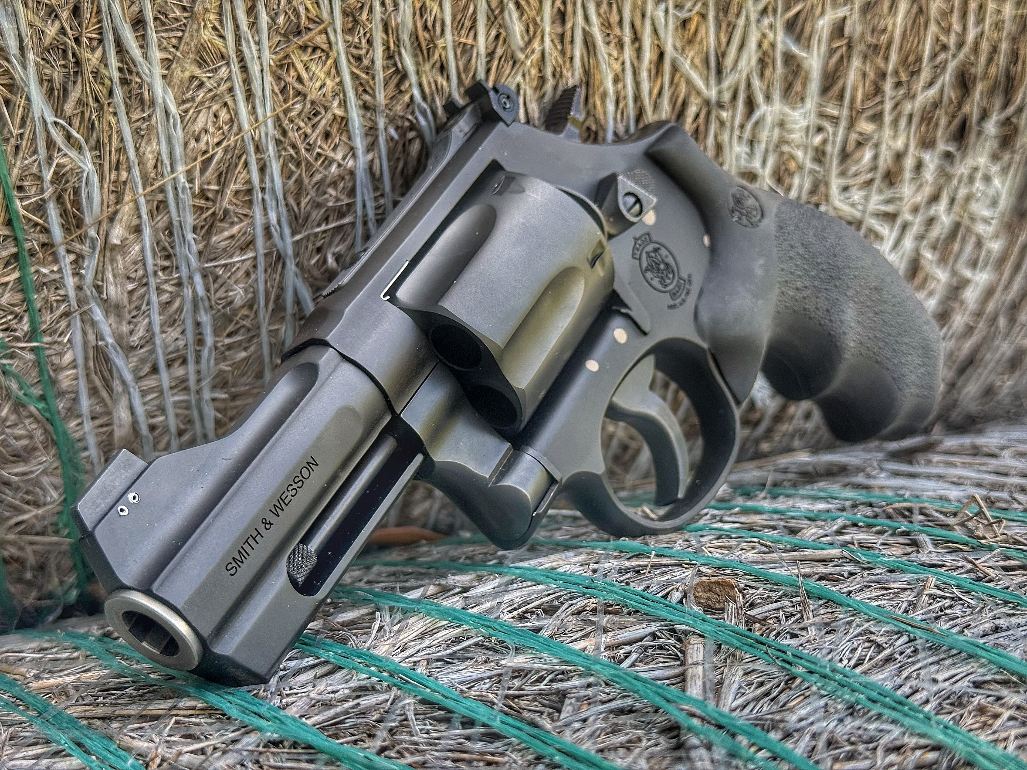 IMG_2395.jpeg