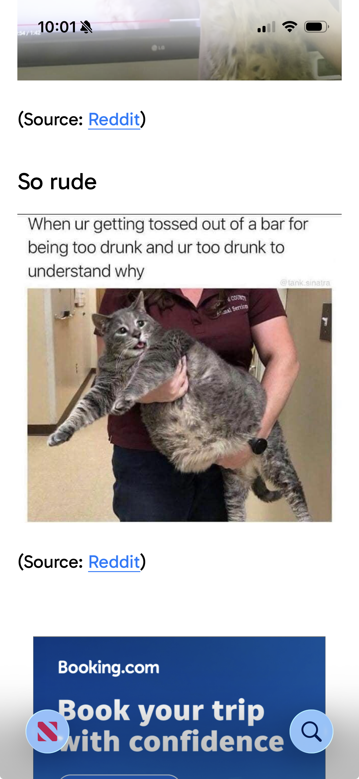25 Quirky Cats And The Things They Do.png