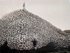 Bison Skull Mountain.jpeg