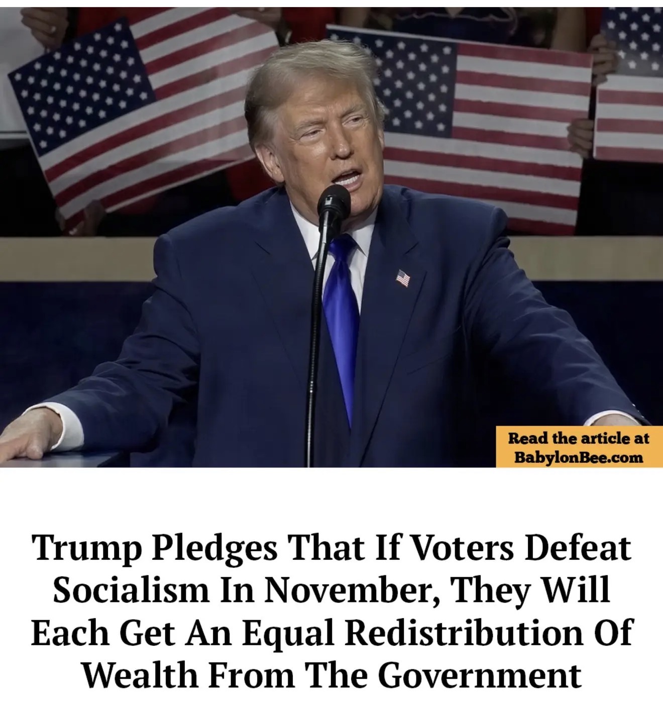IMG_2585.jpeg