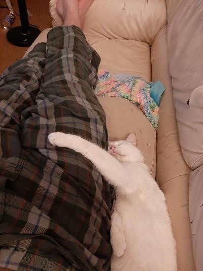Geiger Couch 1.jpeg