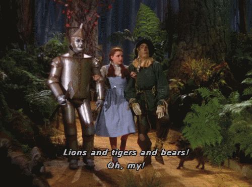 IMG_0771.gif