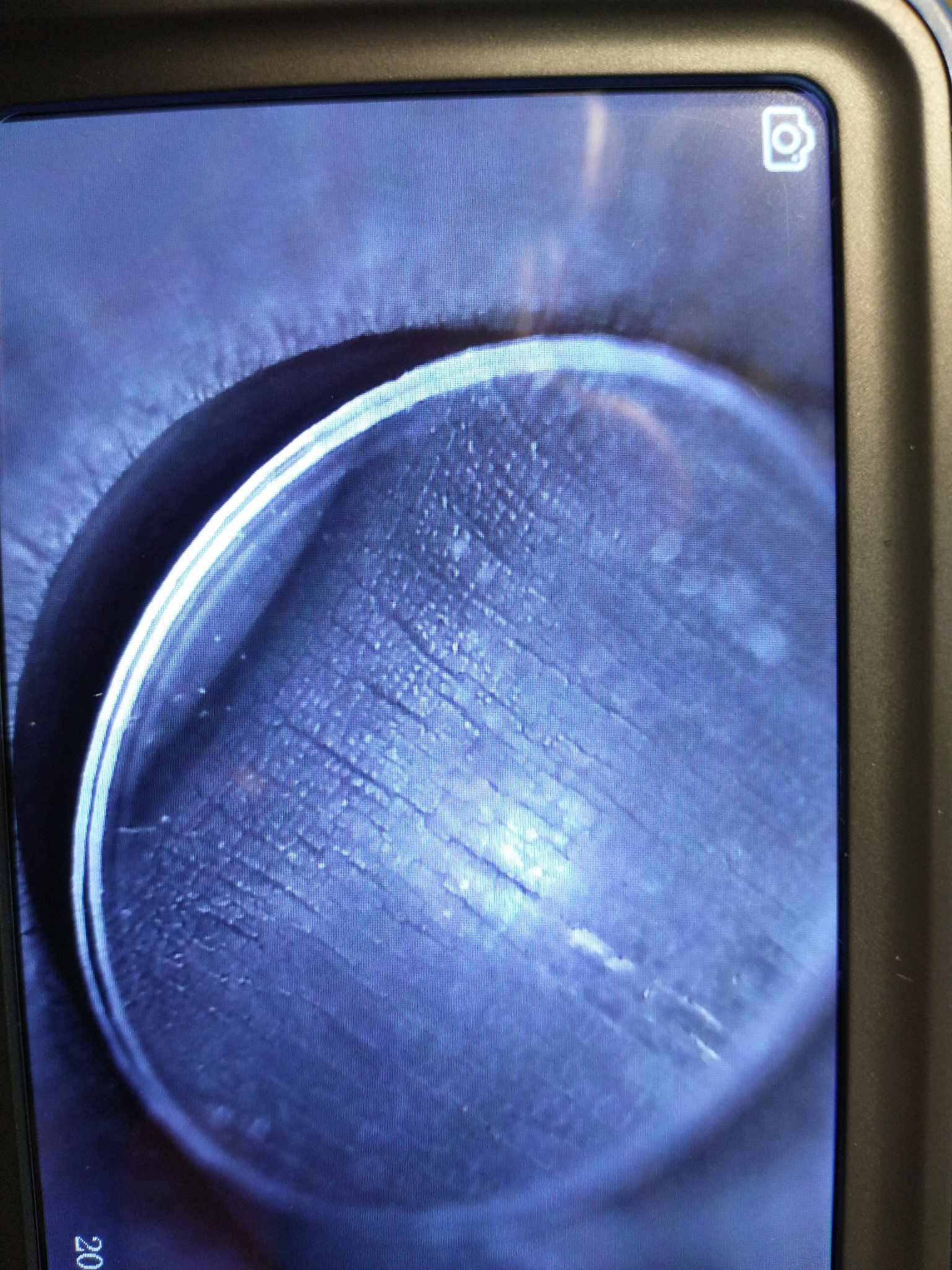 362955391_314871424225863_3776376311159578292_n.jpg