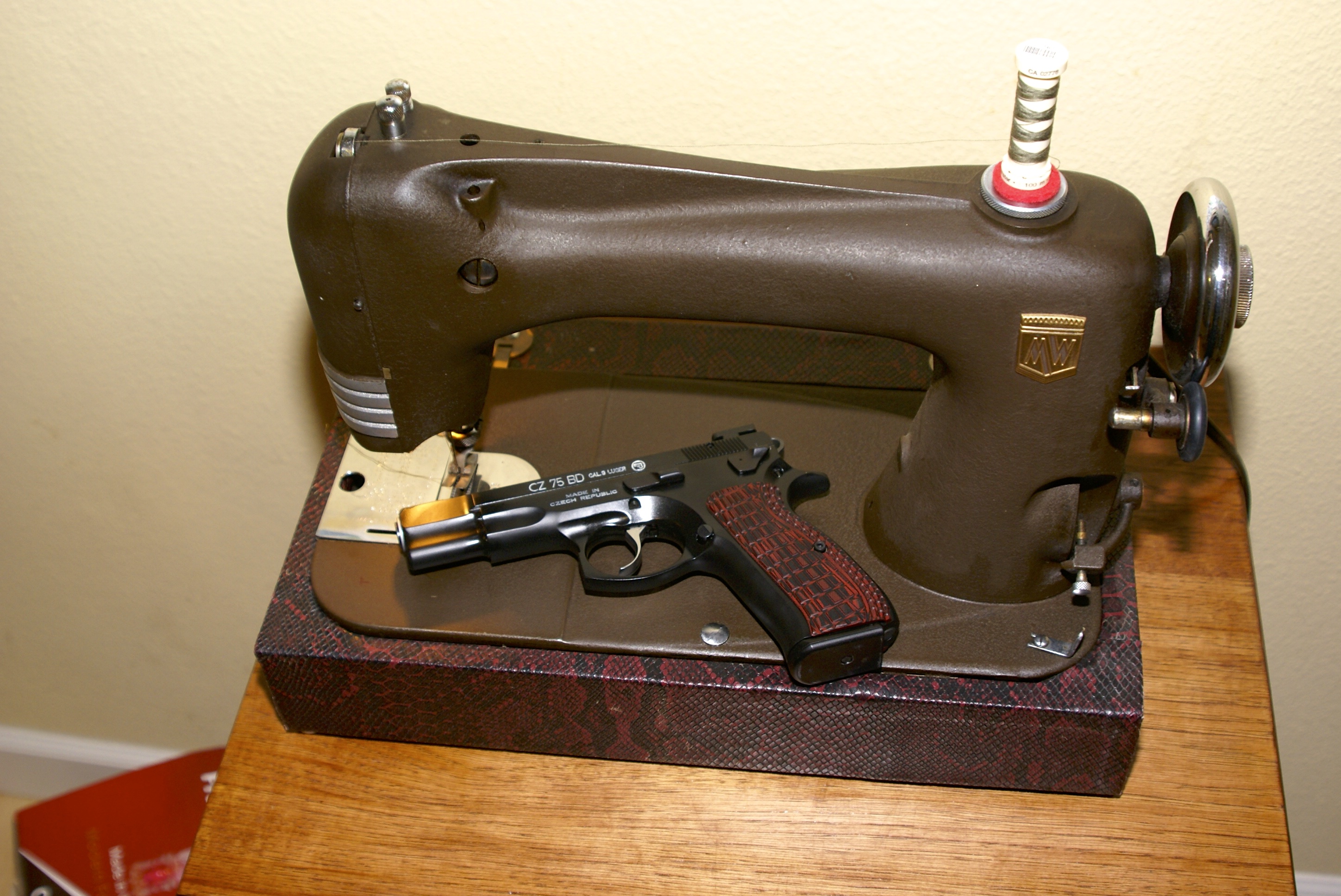 cz-with-SM.jpg