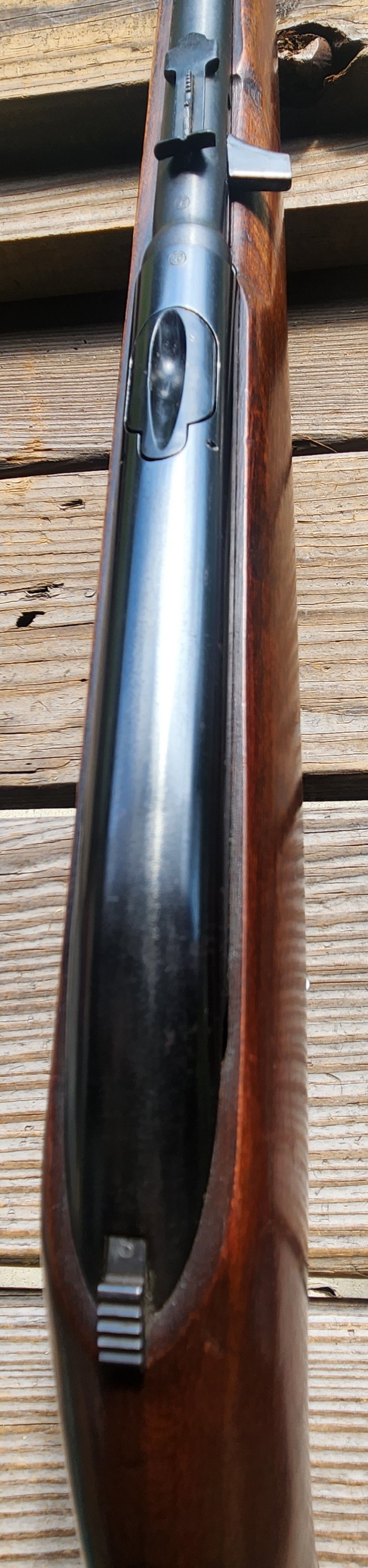 20230812_101535.jpg
