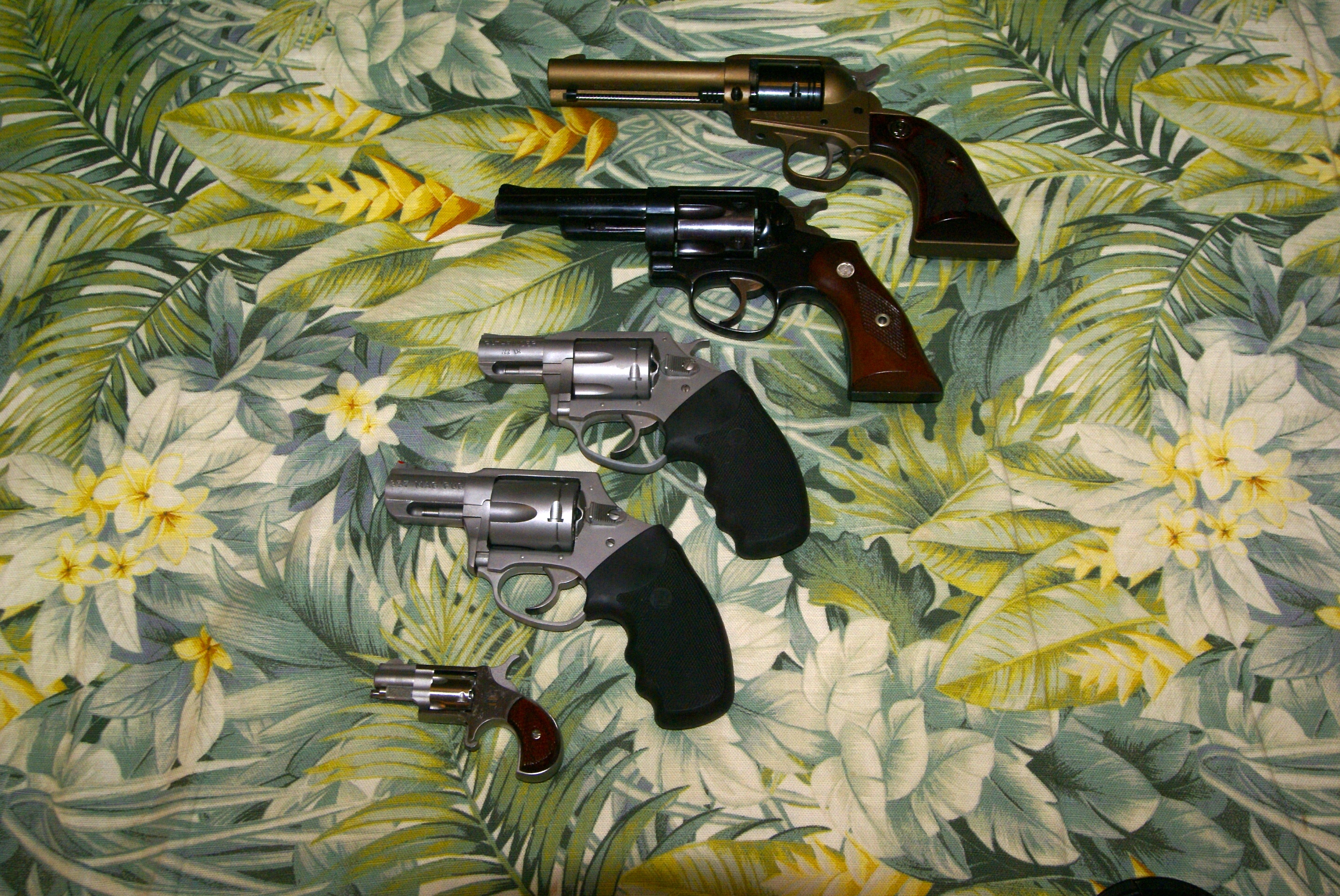 revolver-family.jpg