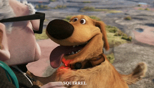 IMG_1200.gif