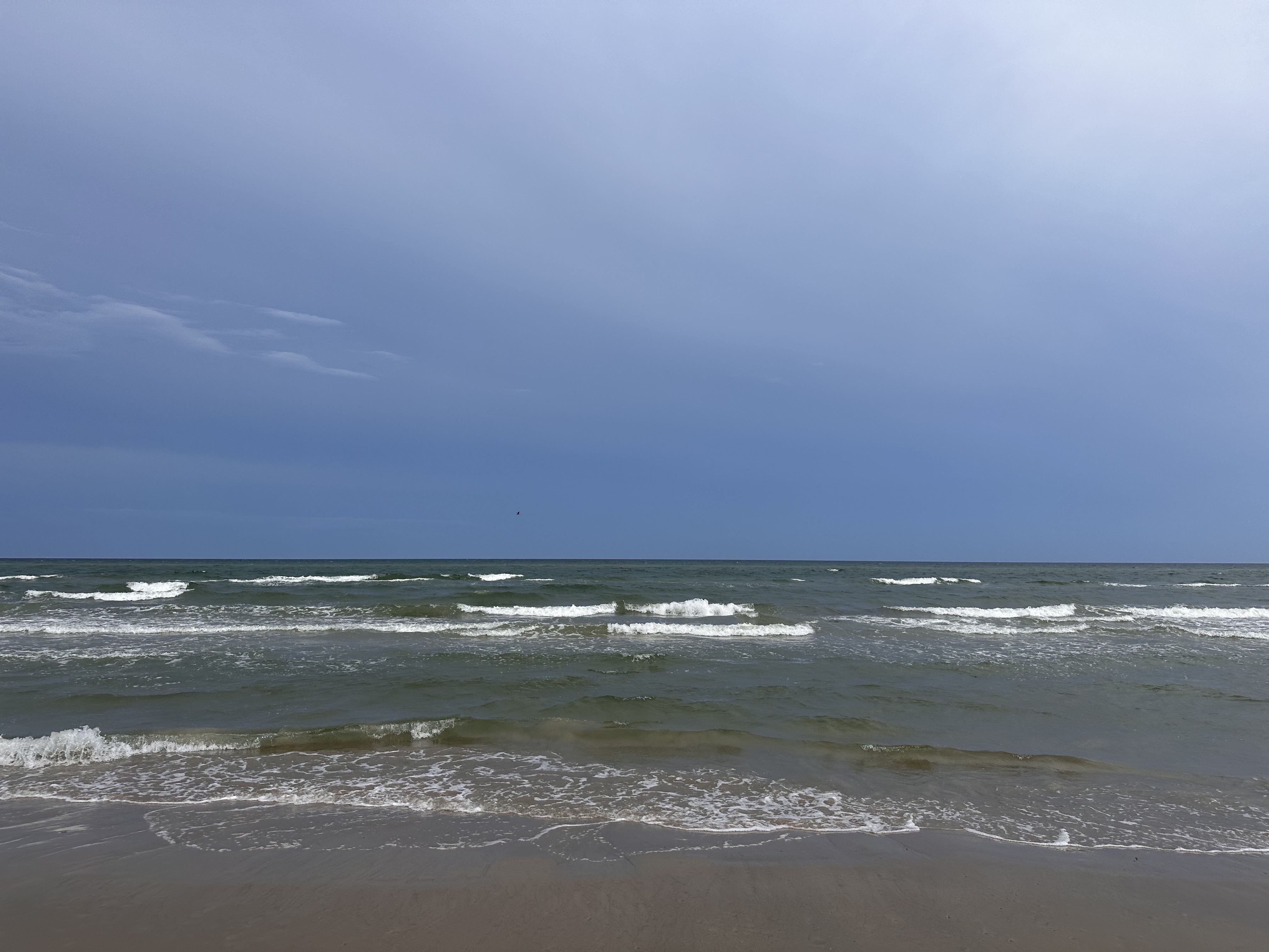 IMG_6495.jpeg