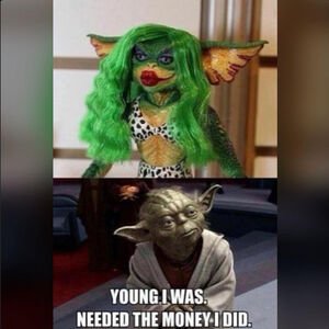 c95e8cfdd33af31a3c76805560bdfab7ad5cfe04.jpeg