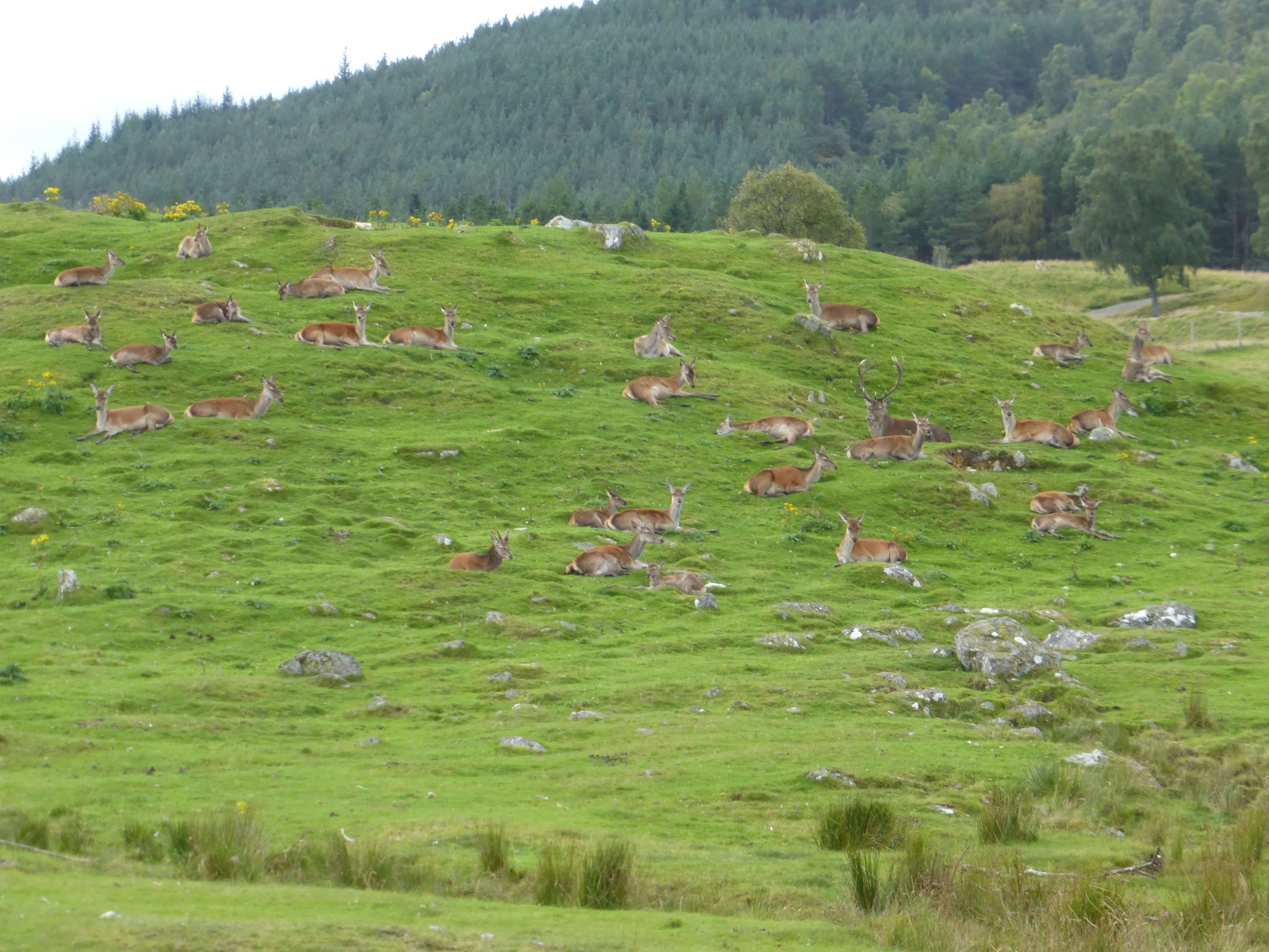 P1000951.JPG