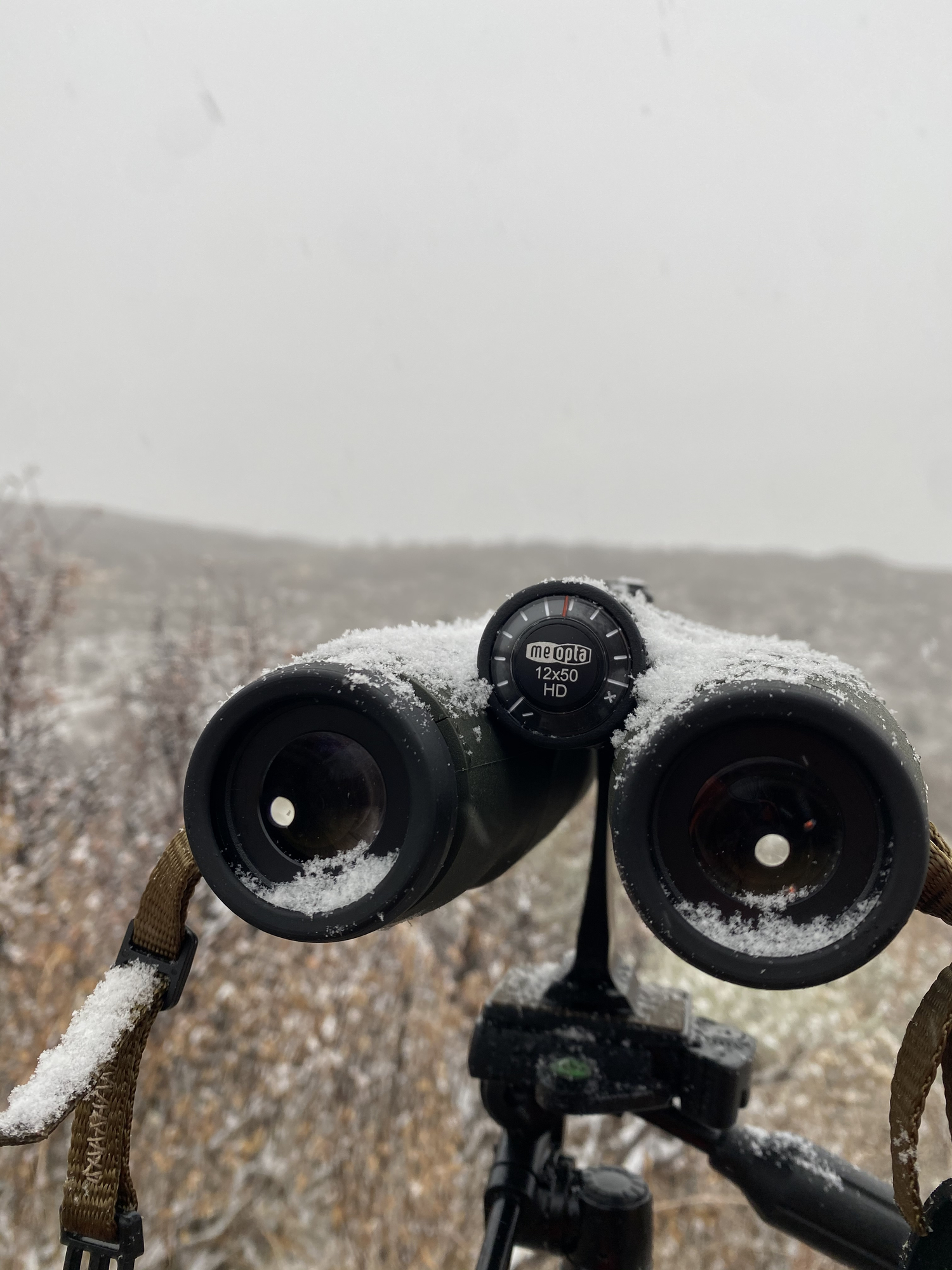 binos in snow.jpeg