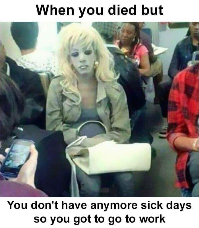 FB_IMG_1694296806516.jpg
