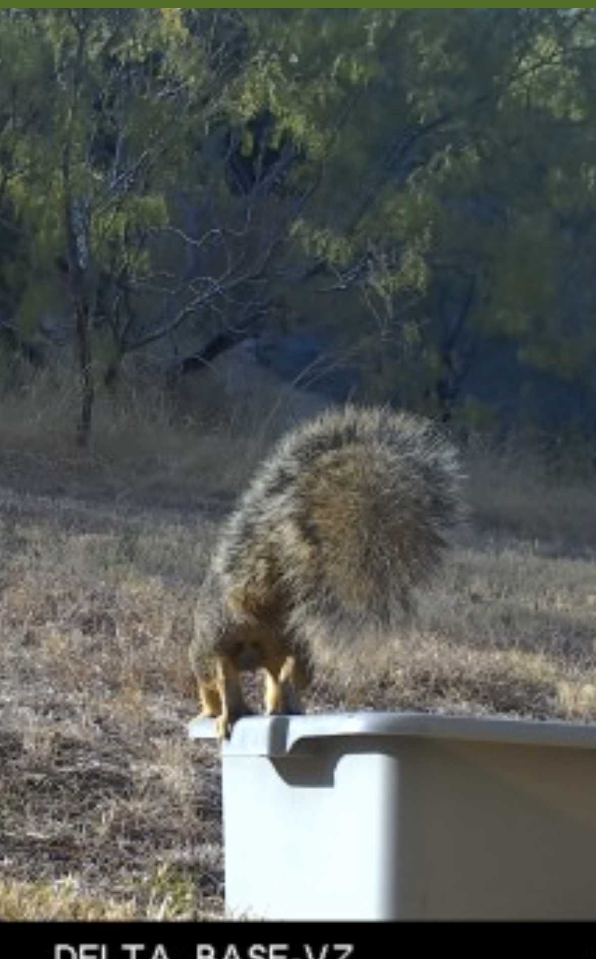 It’s getting nuts out here