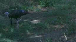 IMG_9953.jpeg