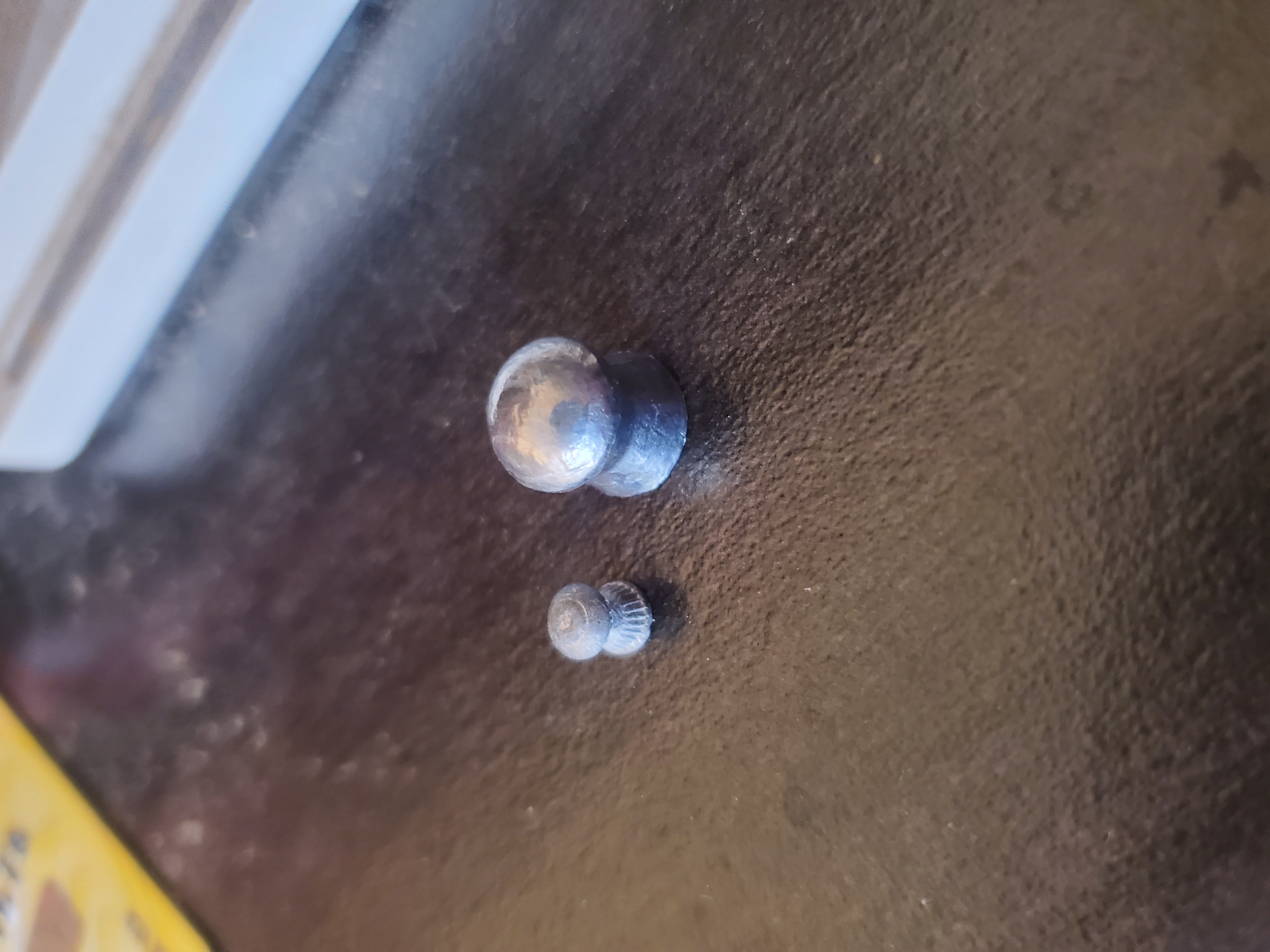 20230912_173116.jpg