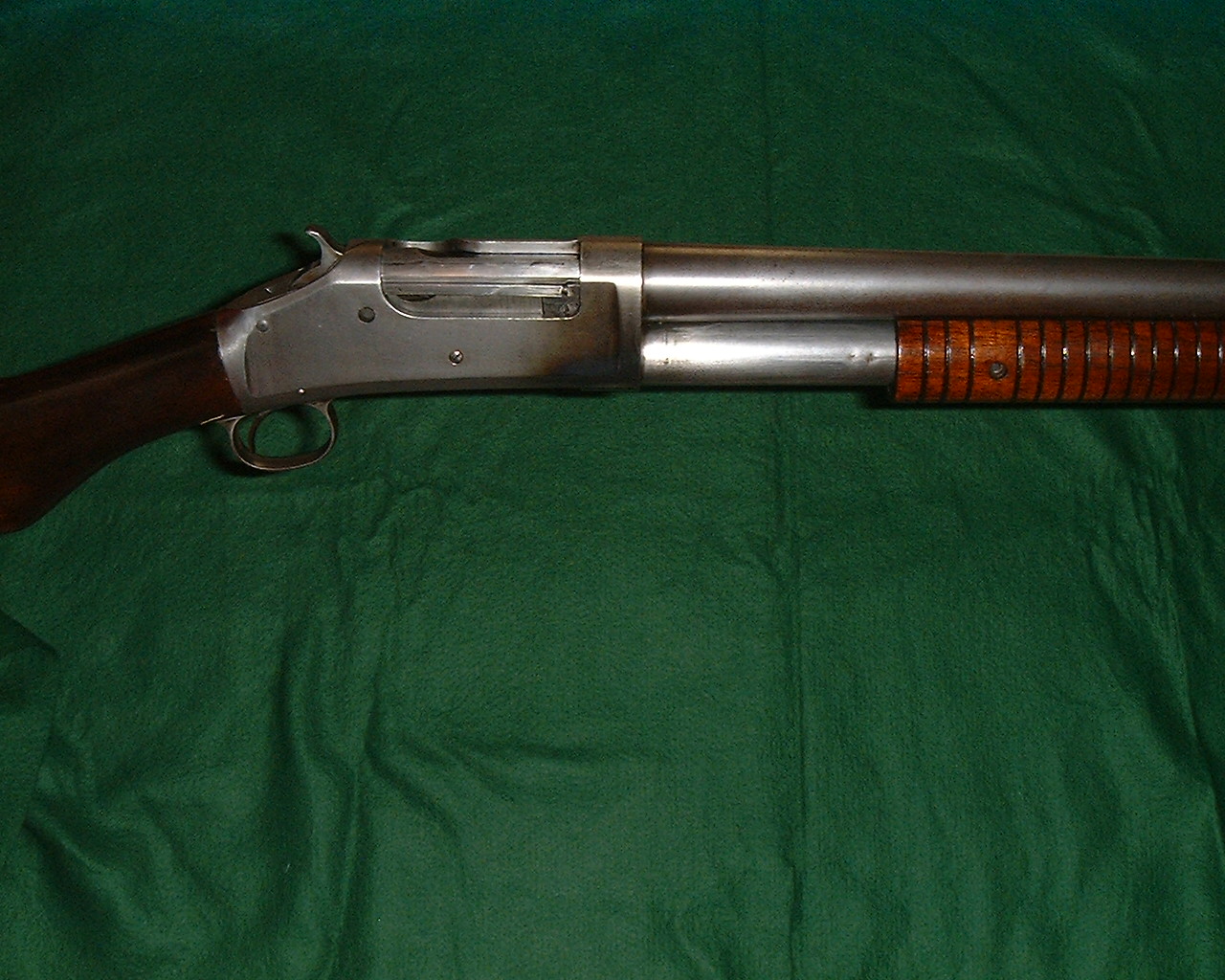 Picture File. 1446.jpg