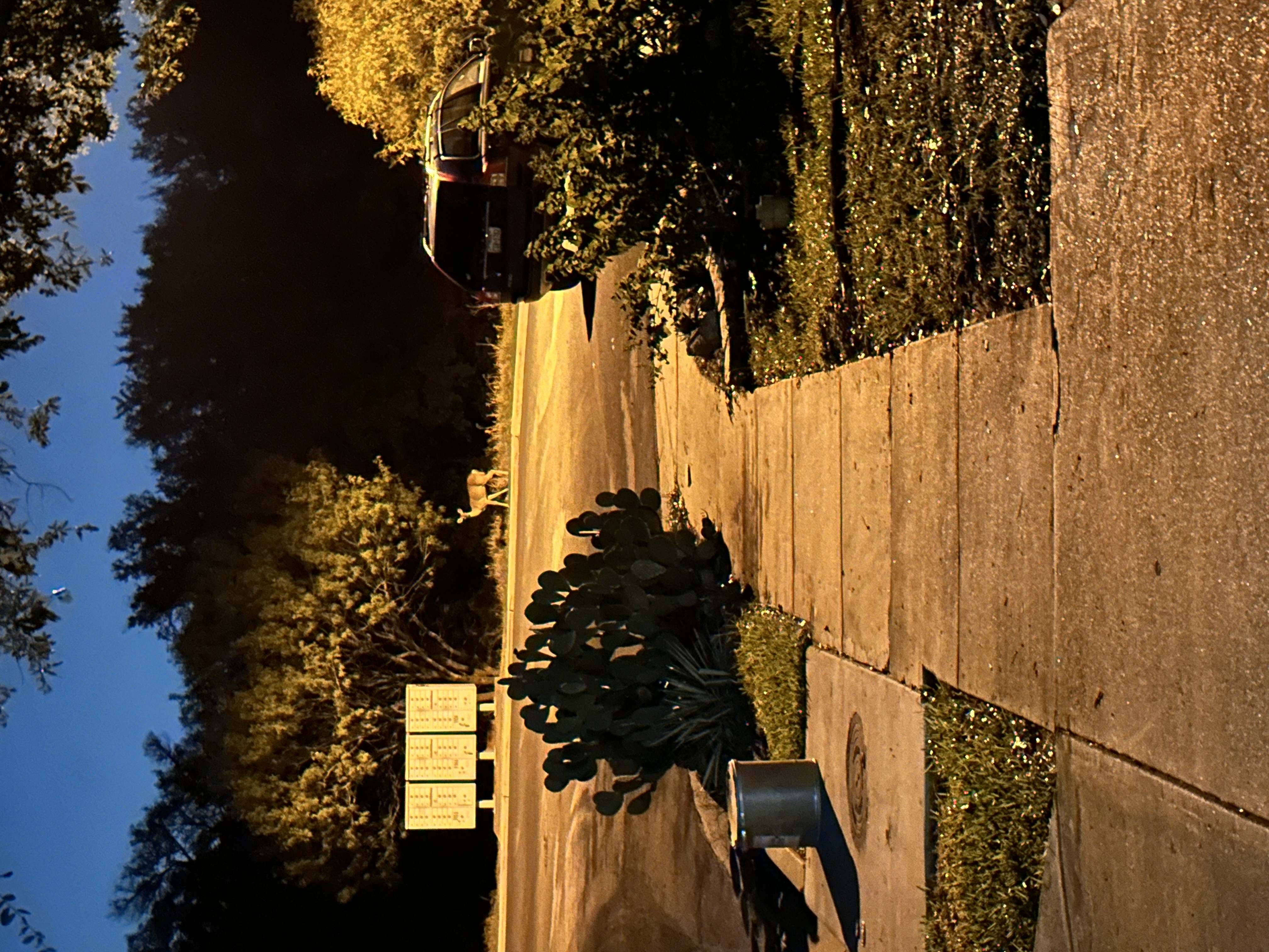 IMG_8430.jpeg
