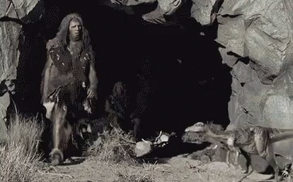 IMG_1882.gif