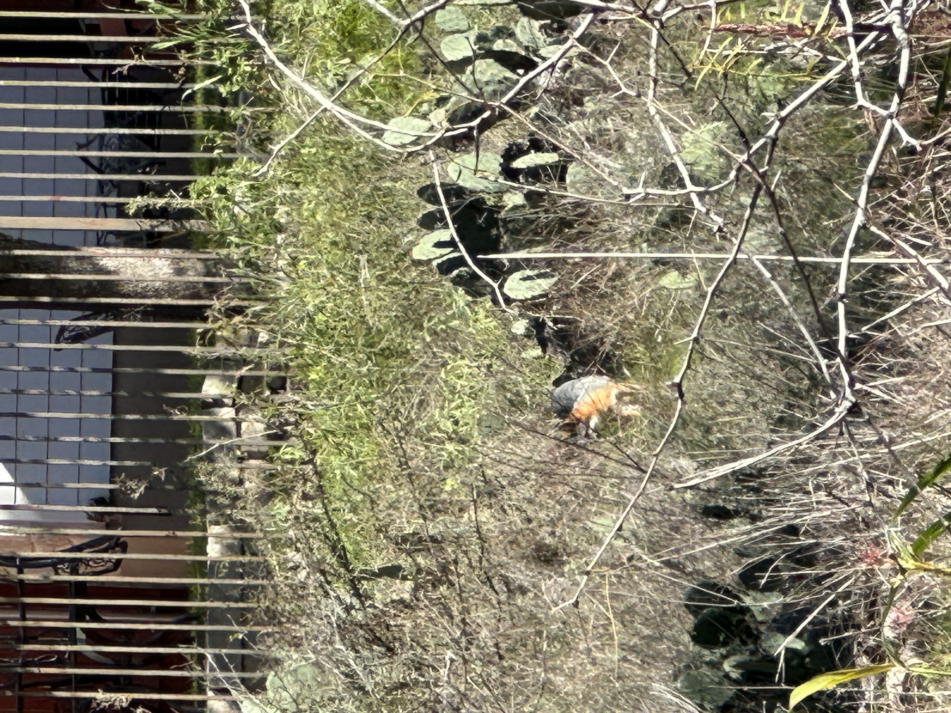 IMG_8874.jpeg