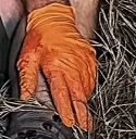 IMG_5613.jpeg