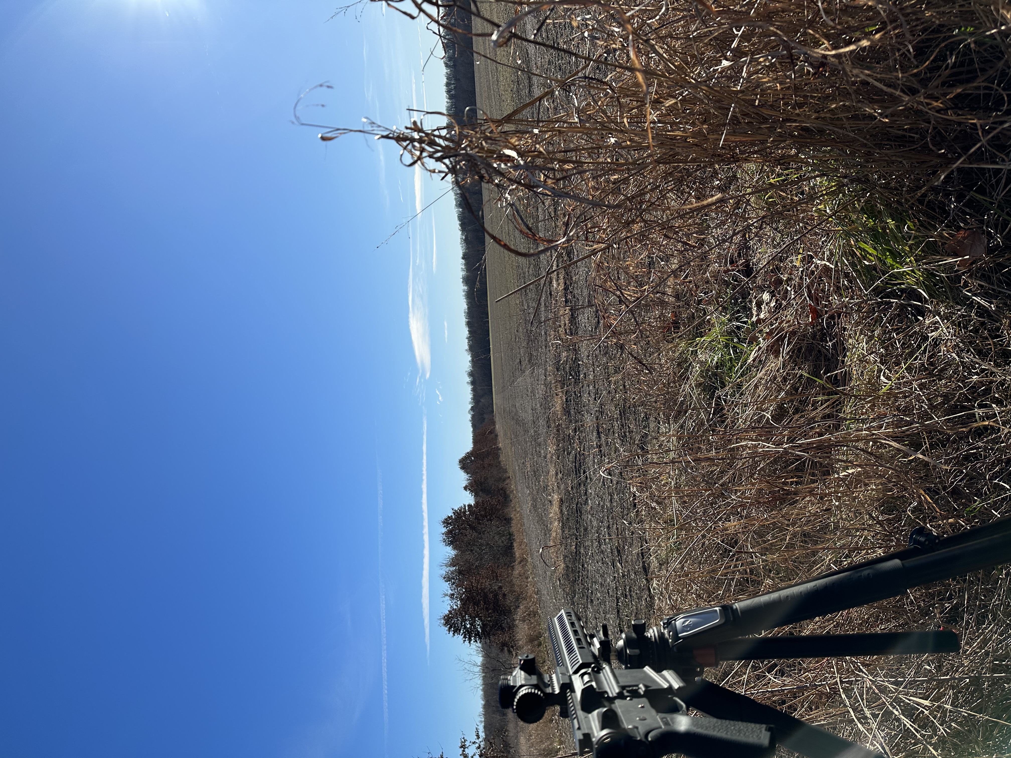 IMG_1769.jpeg