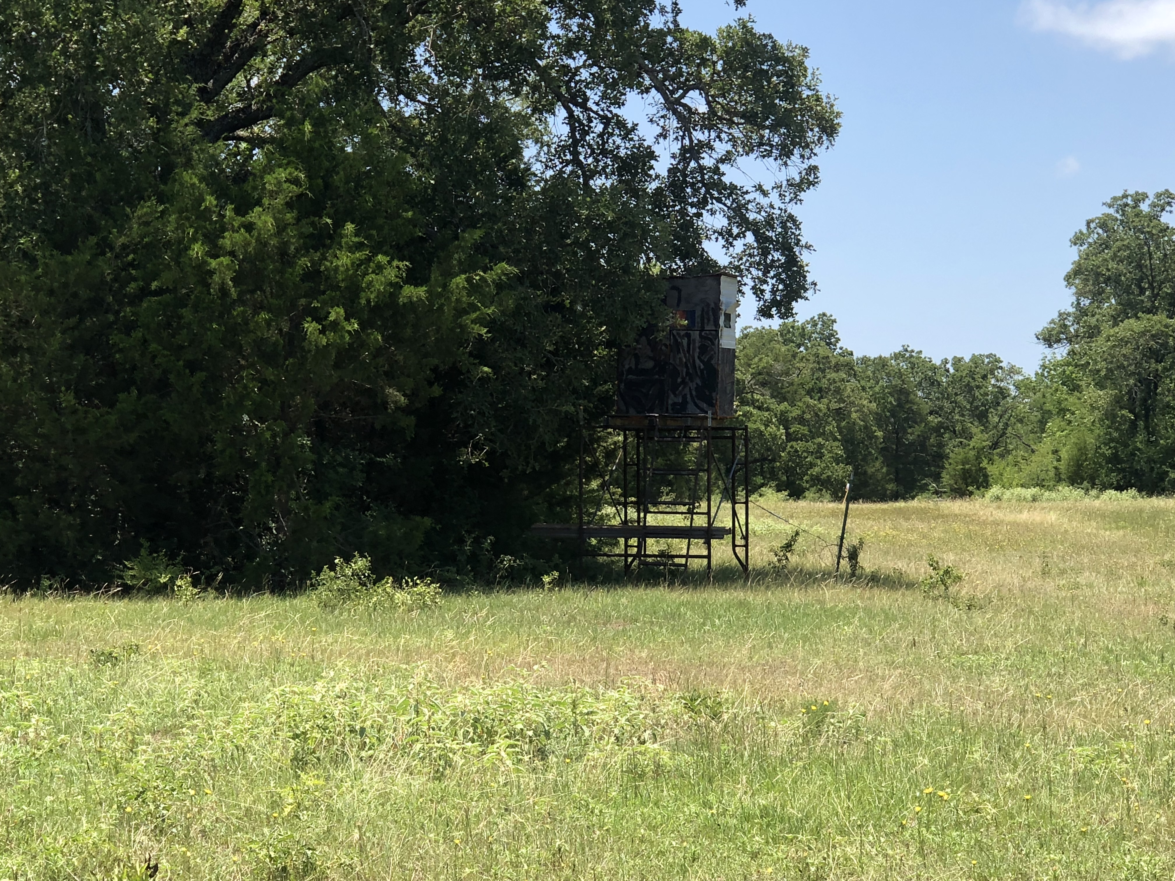 IMG_9025.jpeg