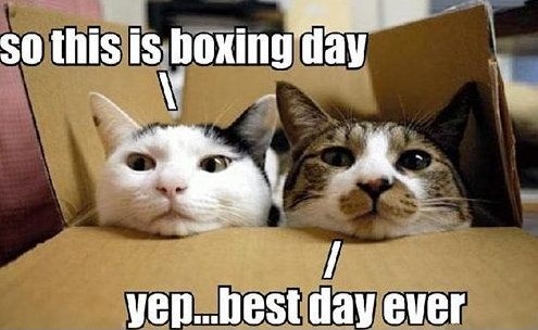 Boxing day.jpg