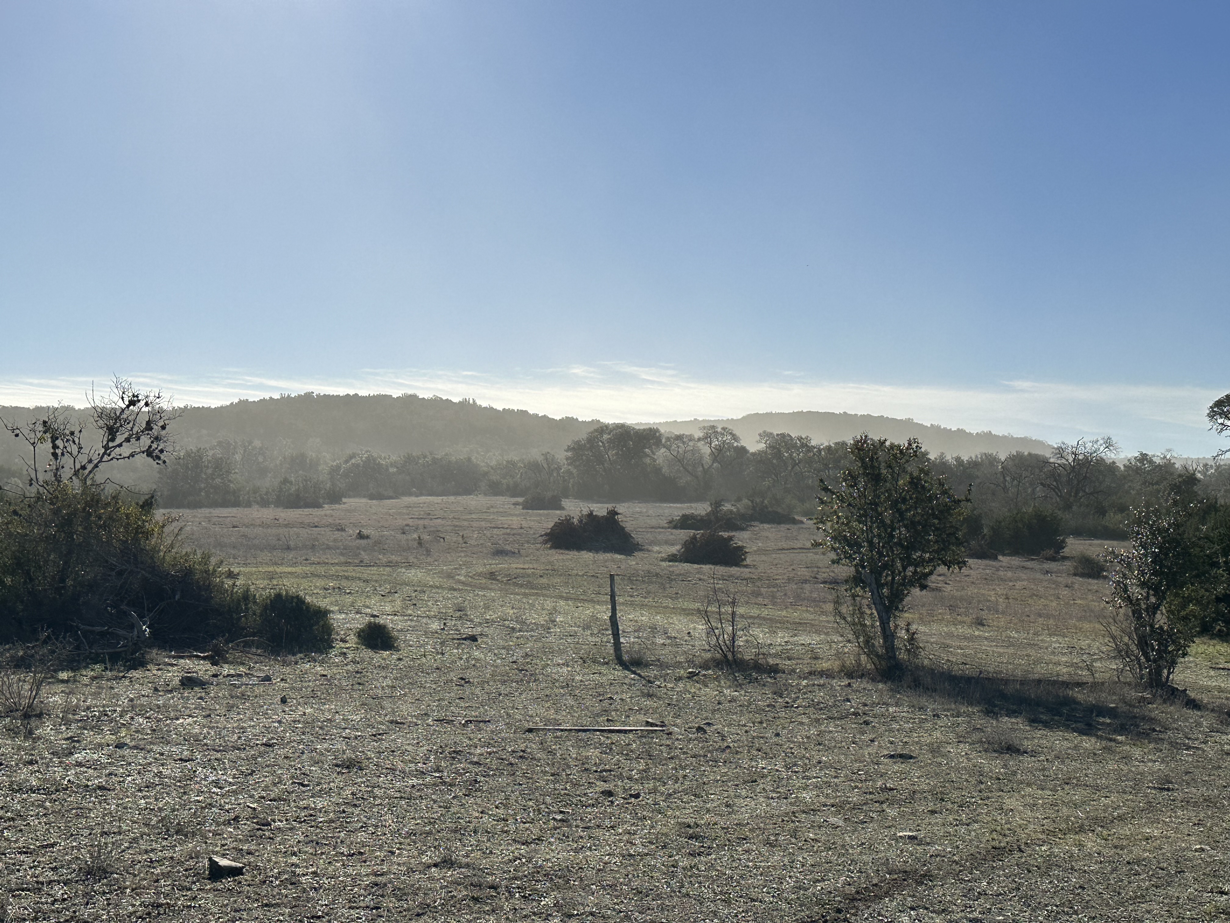 IMG_9019.jpeg