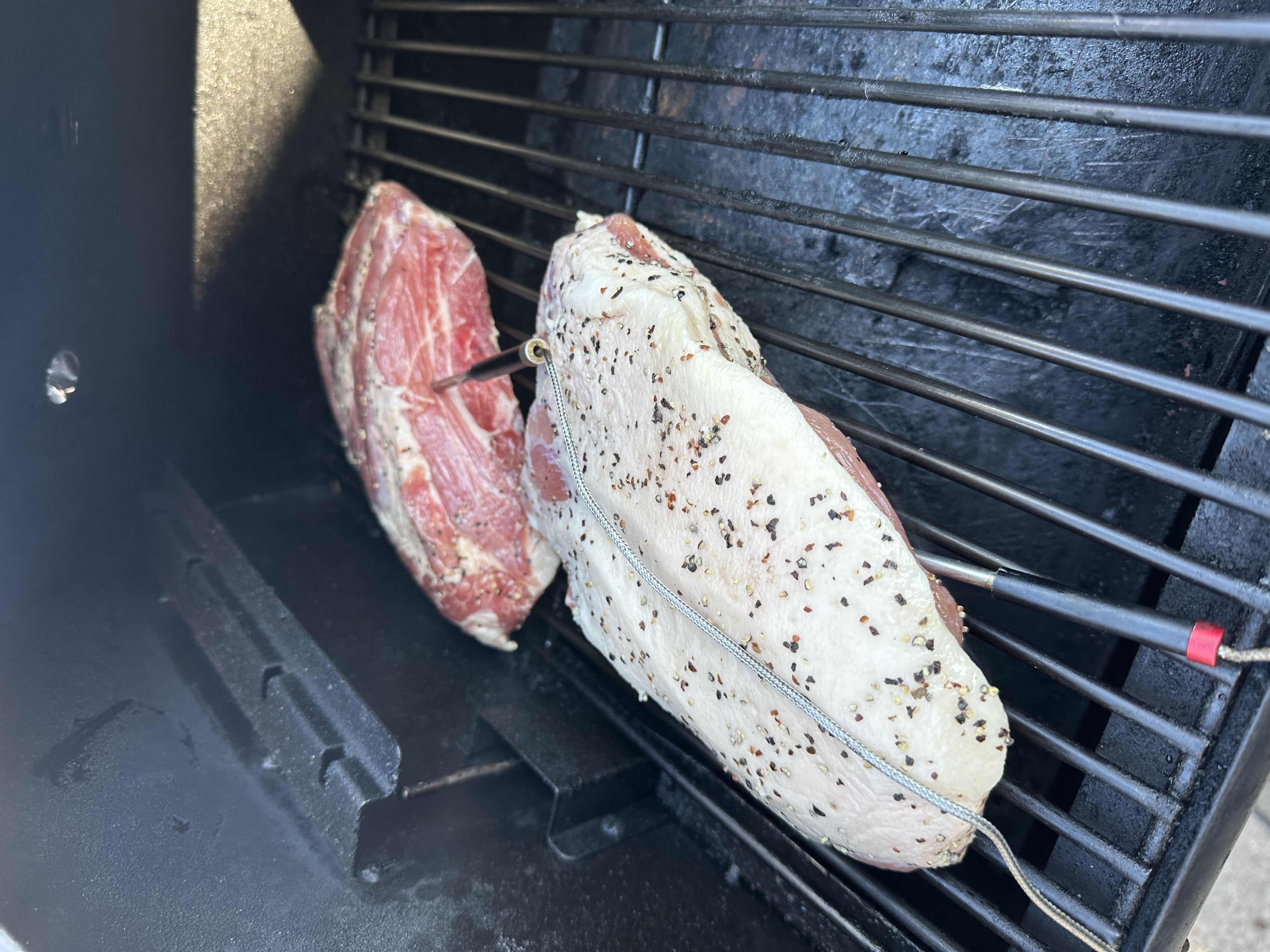 IMG_2397.jpeg